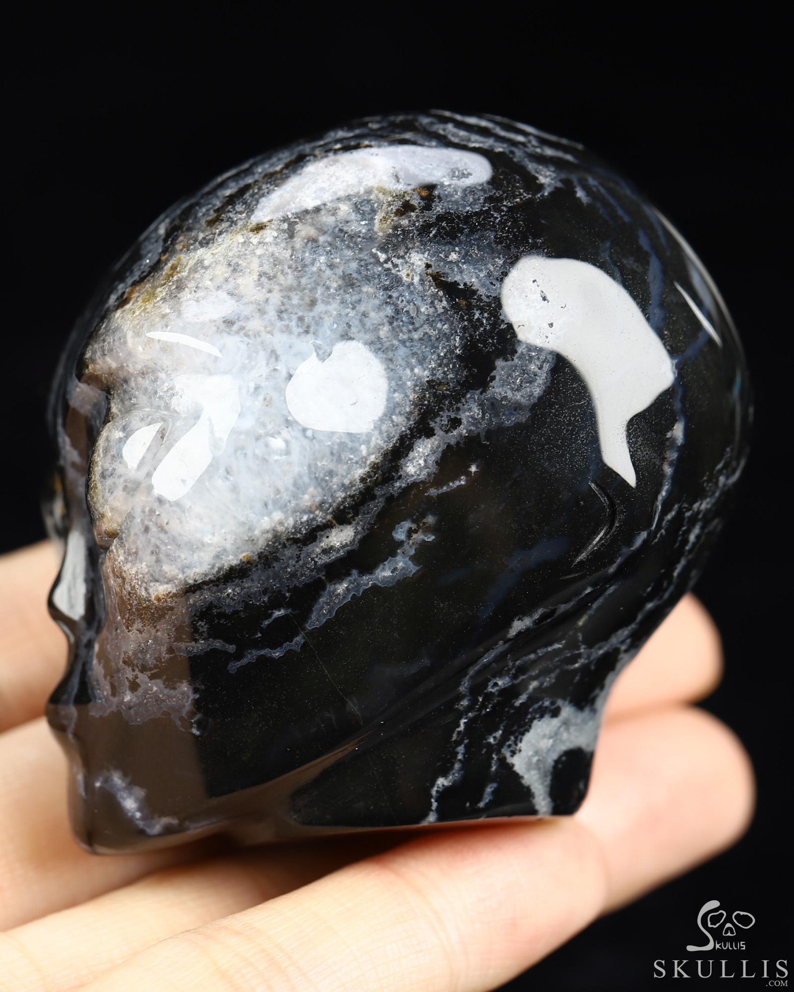 1.9" Black Zebra Agate Star Being Female Alien Crystal Skull Companion, Hand Carved Gemstone Fine Art Sculpture, Reiki Healing Stone Statue 1.9" Black Zebra Agate Star Being Female Alien Crystal Skull Companion, Hand Carved Gemstone Fine Art Sculpture, Reiki Healing Stone Statue