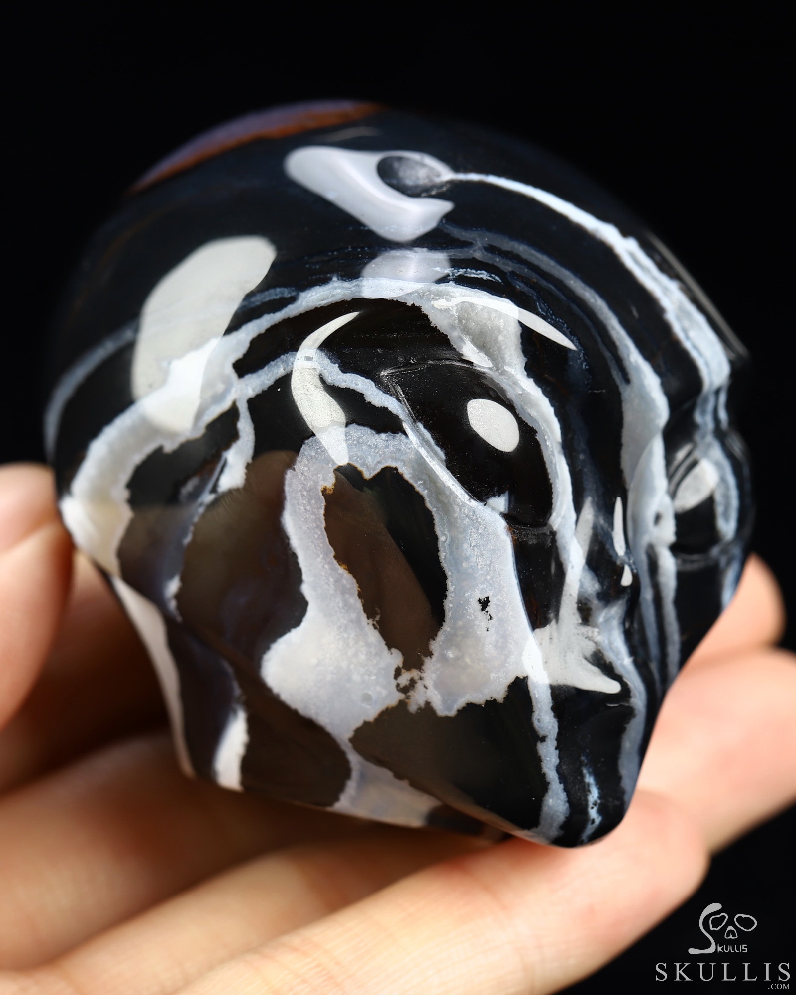 1.9" Black Zebra Agate Star Being Female Alien Crystal Skull Companion, Hand Carved Gemstone Fine Art Sculpture, Reiki Healing Stone Statue 1.9" Black Zebra Agate Star Being Female Alien Crystal Skull Companion, Hand Carved Gemstone Fine Art Sculpture, Reiki Healing Stone Statue