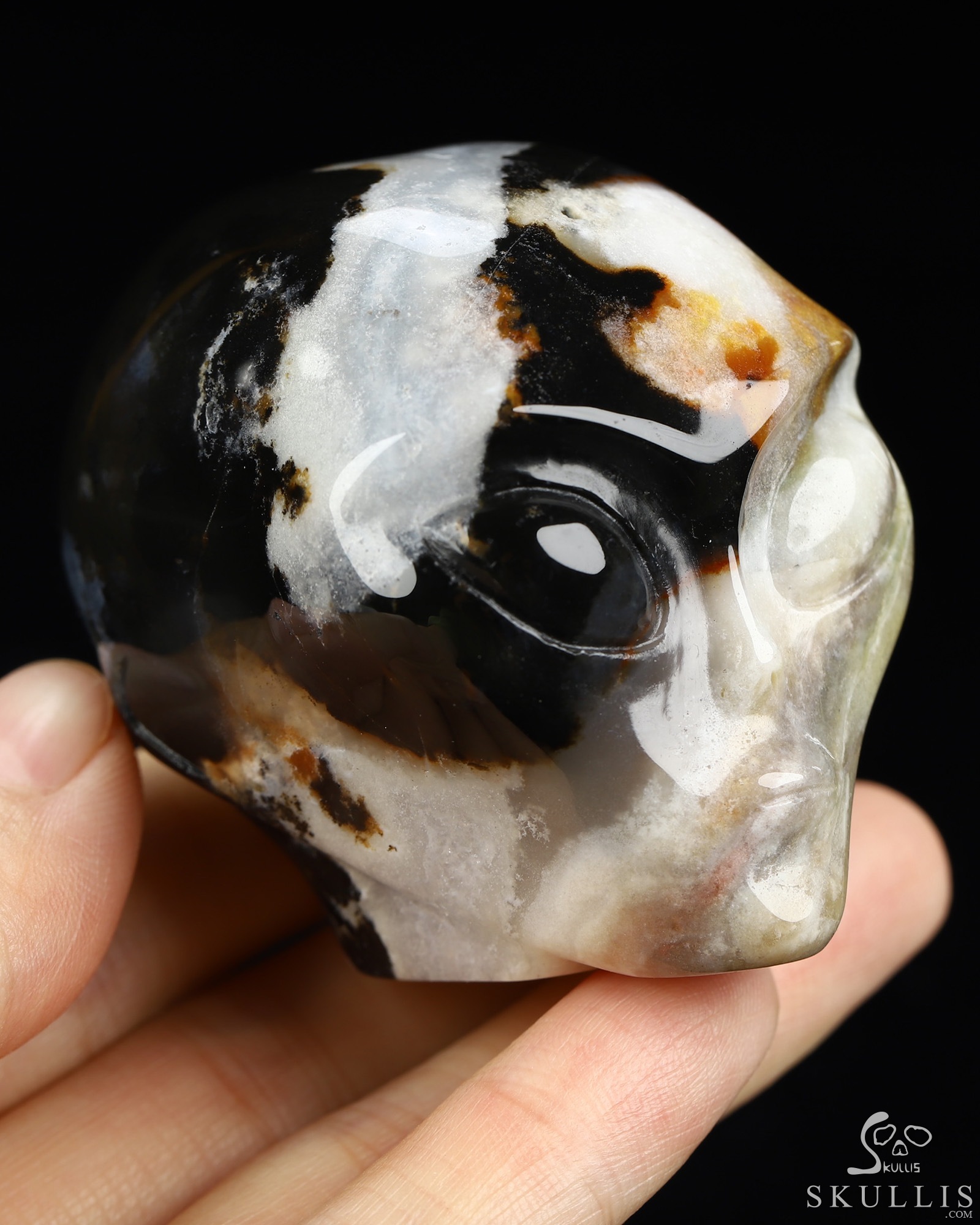 1.9" Black Zebra Agate Star Being Female Alien Crystal Skull Companion, Hand Carved Gemstone Fine Art Sculpture, Reiki Healing Stone Statue 1.9" Black Zebra Agate Star Being Female Alien Crystal Skull Companion, Hand Carved Gemstone Fine Art Sculpture, Reiki Healing Stone Statue