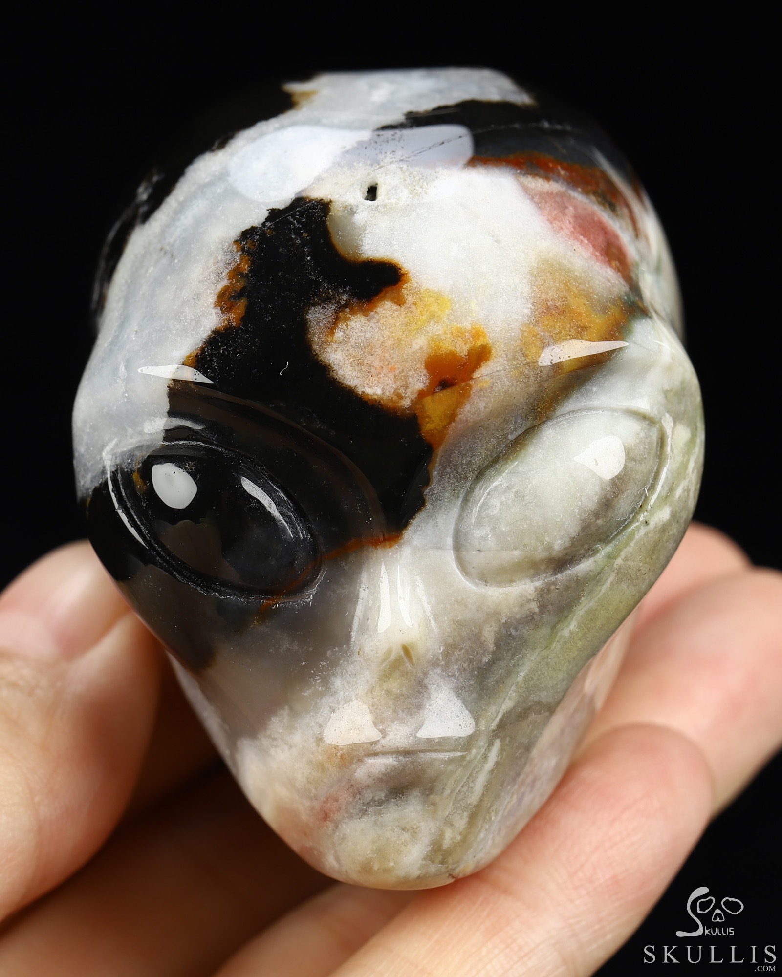 1.9" Black Zebra Agate Star Being Female Alien Crystal Skull Companion, Hand Carved Gemstone Fine Art Sculpture, Reiki Healing Stone Statue 1.9" Black Zebra Agate Star Being Female Alien Crystal Skull Companion, Hand Carved Gemstone Fine Art Sculpture, Reiki Healing Stone Statue