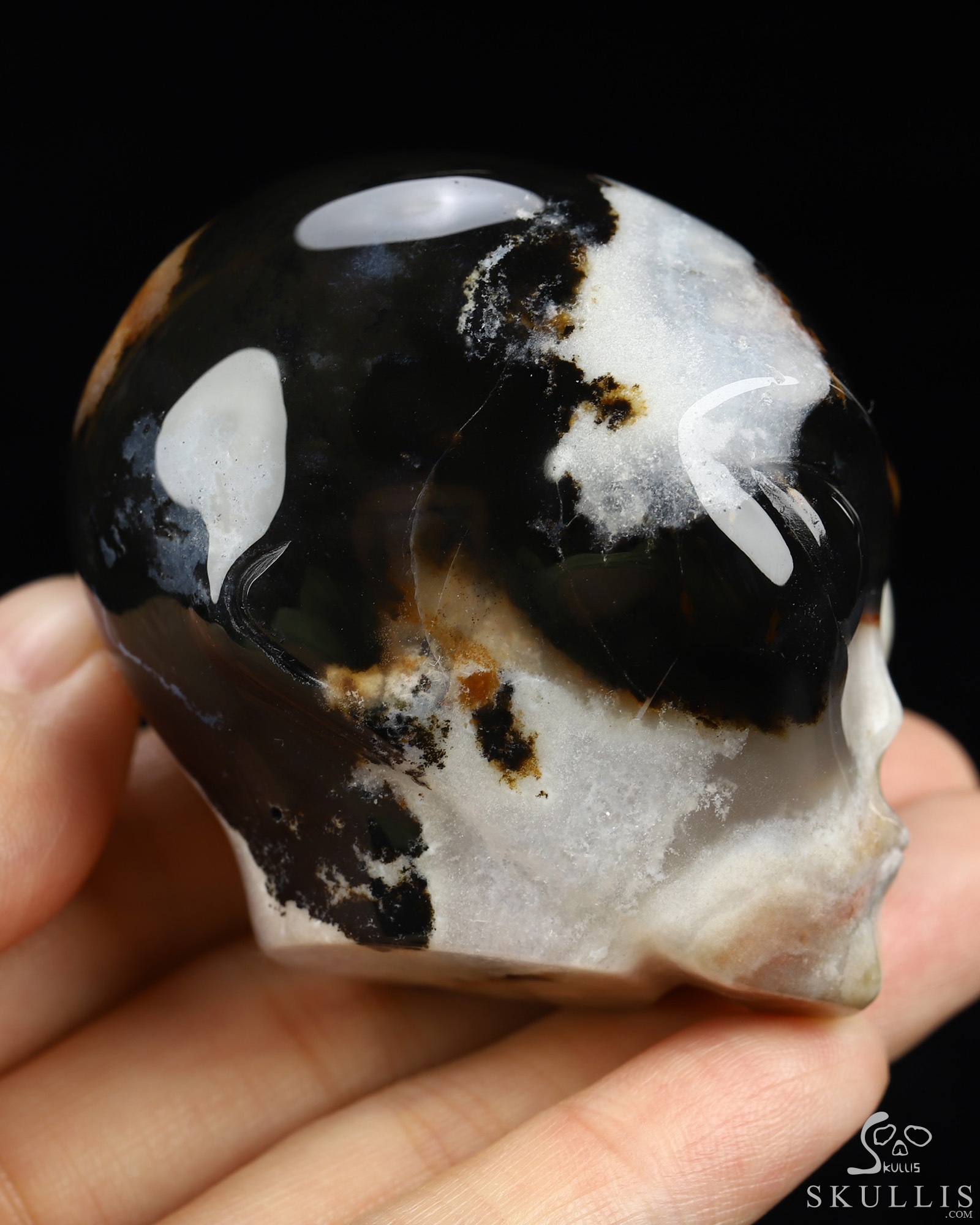 1.9" Black Zebra Agate Star Being Female Alien Crystal Skull Companion, Hand Carved Gemstone Fine Art Sculpture, Reiki Healing Stone Statue 1.9" Black Zebra Agate Star Being Female Alien Crystal Skull Companion, Hand Carved Gemstone Fine Art Sculpture, Reiki Healing Stone Statue