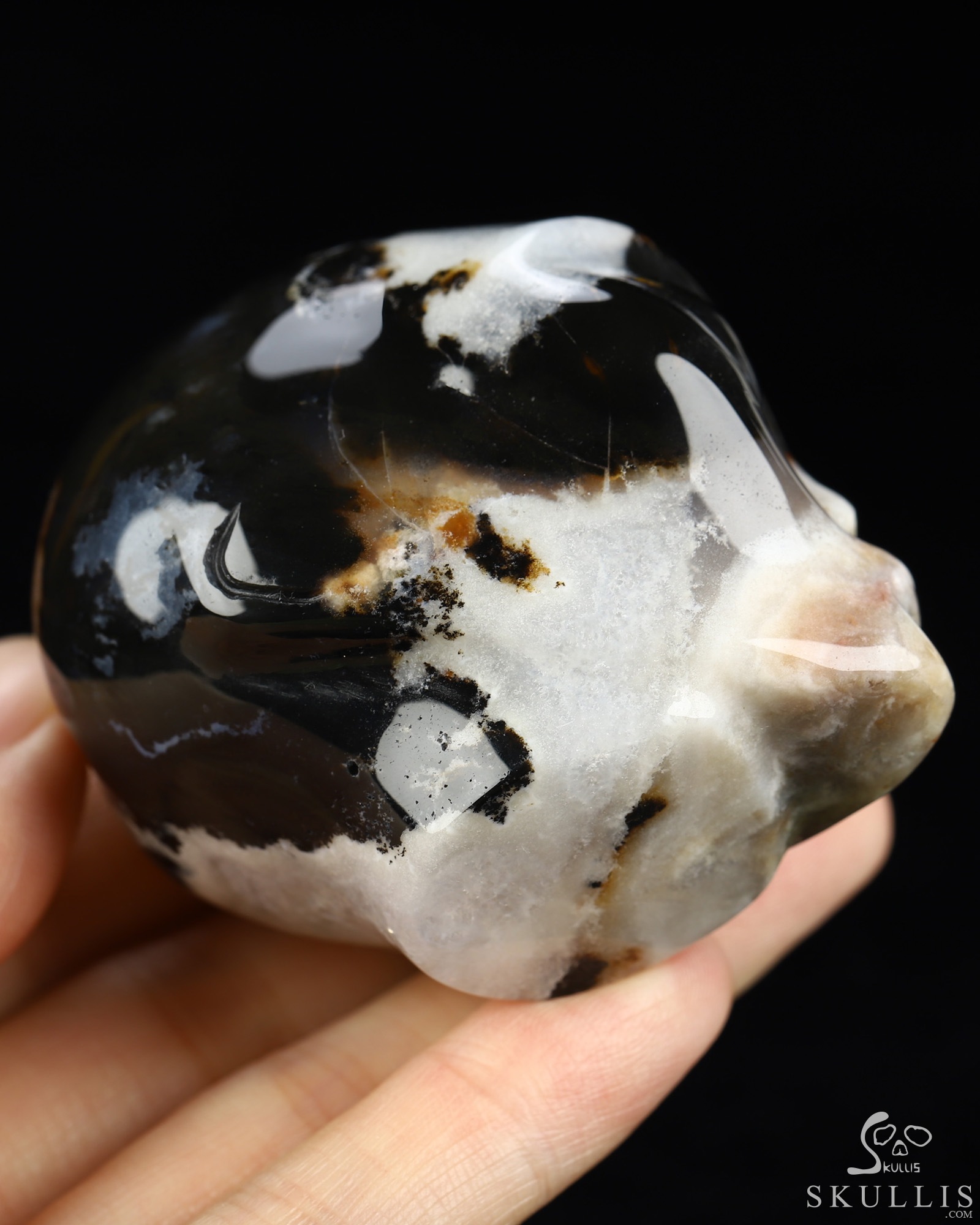 1.9" Black Zebra Agate Star Being Female Alien Crystal Skull Companion, Hand Carved Gemstone Fine Art Sculpture, Reiki Healing Stone Statue 1.9" Black Zebra Agate Star Being Female Alien Crystal Skull Companion, Hand Carved Gemstone Fine Art Sculpture, Reiki Healing Stone Statue