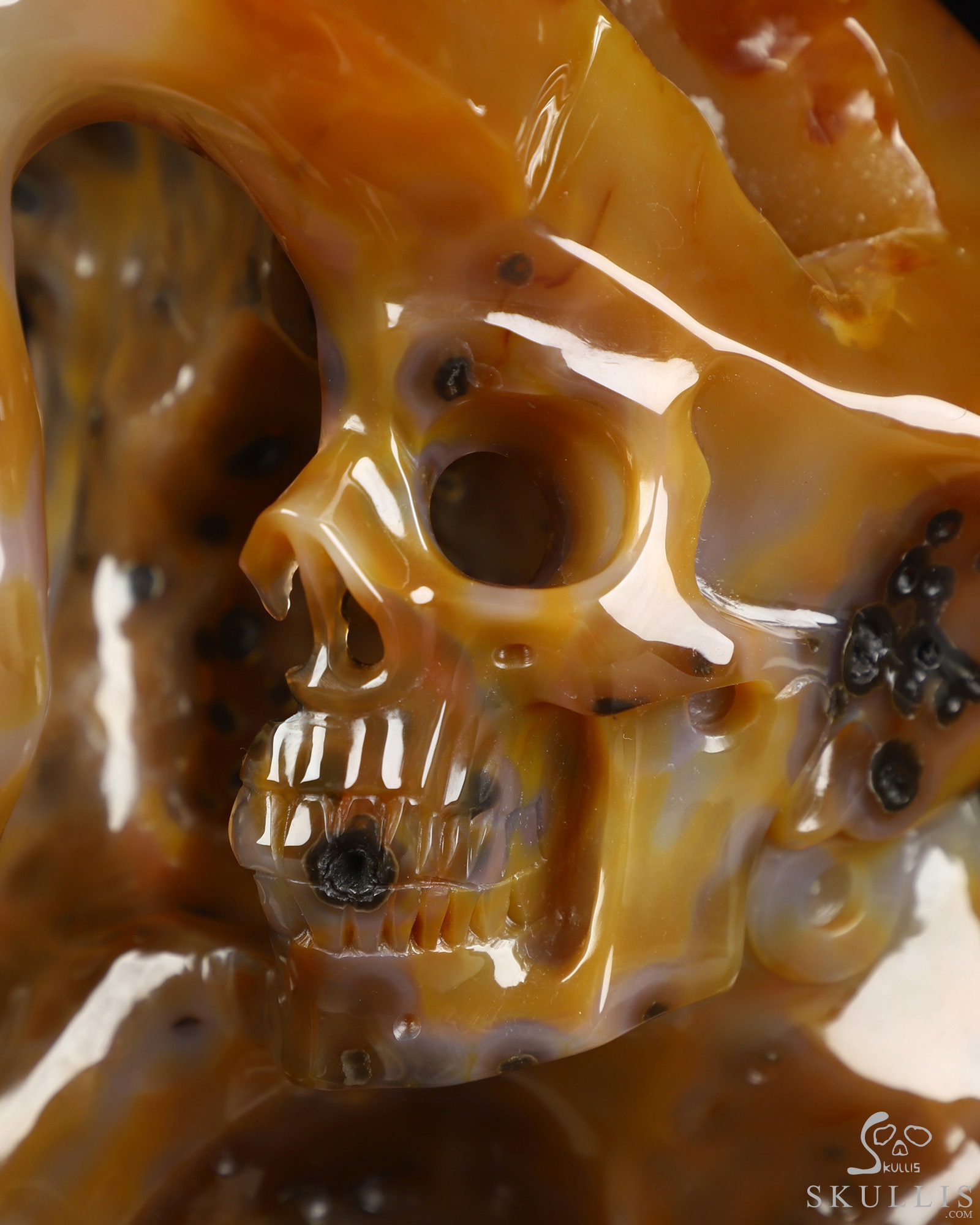 July 22, 2026 ACSAD (A Crystal Skull a Day) - Draped in Mortality - 10.6" Premium Brazilian Agate Carved Crystal Skull Fine Art Sculpture, Crystal Healing July 22, 2026 ACSAD (A Crystal Skull a Day) - Draped in Mortality - 10.6" Premium Brazilian Agate Carved Crystal Skull Fine Art Sculpture, Crystal Healing