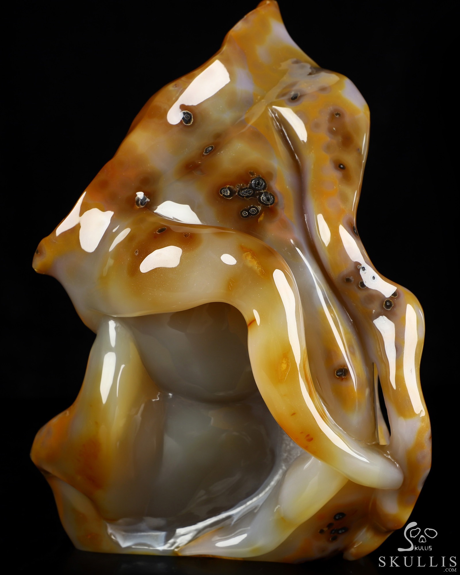 July 22, 2026 ACSAD (A Crystal Skull a Day) - Draped in Mortality - 10.6" Premium Brazilian Agate Carved Crystal Skull Fine Art Sculpture, Crystal Healing July 22, 2026 ACSAD (A Crystal Skull a Day) - Draped in Mortality - 10.6" Premium Brazilian Agate Carved Crystal Skull Fine Art Sculpture, Crystal Healing