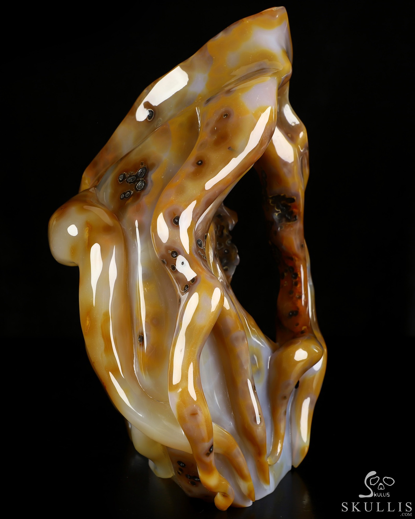 July 22, 2026 ACSAD (A Crystal Skull a Day) - Draped in Mortality - 10.6" Premium Brazilian Agate Carved Crystal Skull Fine Art Sculpture, Crystal Healing July 22, 2026 ACSAD (A Crystal Skull a Day) - Draped in Mortality - 10.6" Premium Brazilian Agate Carved Crystal Skull Fine Art Sculpture, Crystal Healing