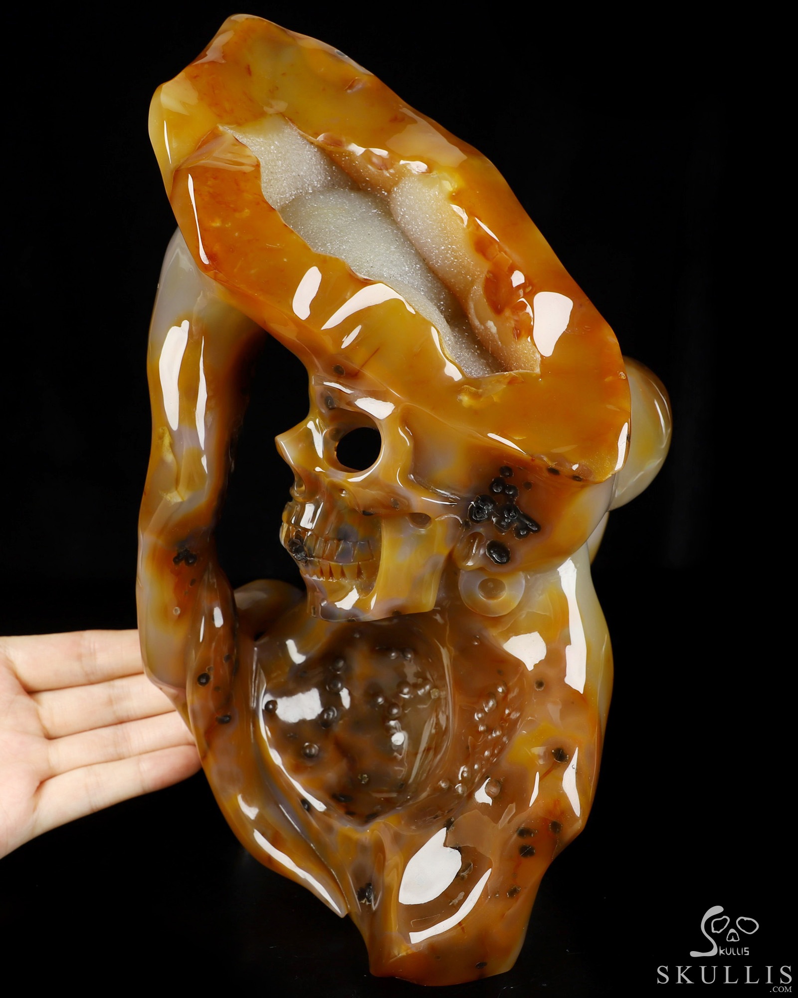 July 22, 2026 ACSAD (A Crystal Skull a Day) - Draped in Mortality - 10.6" Premium Brazilian Agate Carved Crystal Skull Fine Art Sculpture, Crystal Healing July 22, 2026 ACSAD (A Crystal Skull a Day) - Draped in Mortality - 10.6" Premium Brazilian Agate Carved Crystal Skull Fine Art Sculpture, Crystal Healing