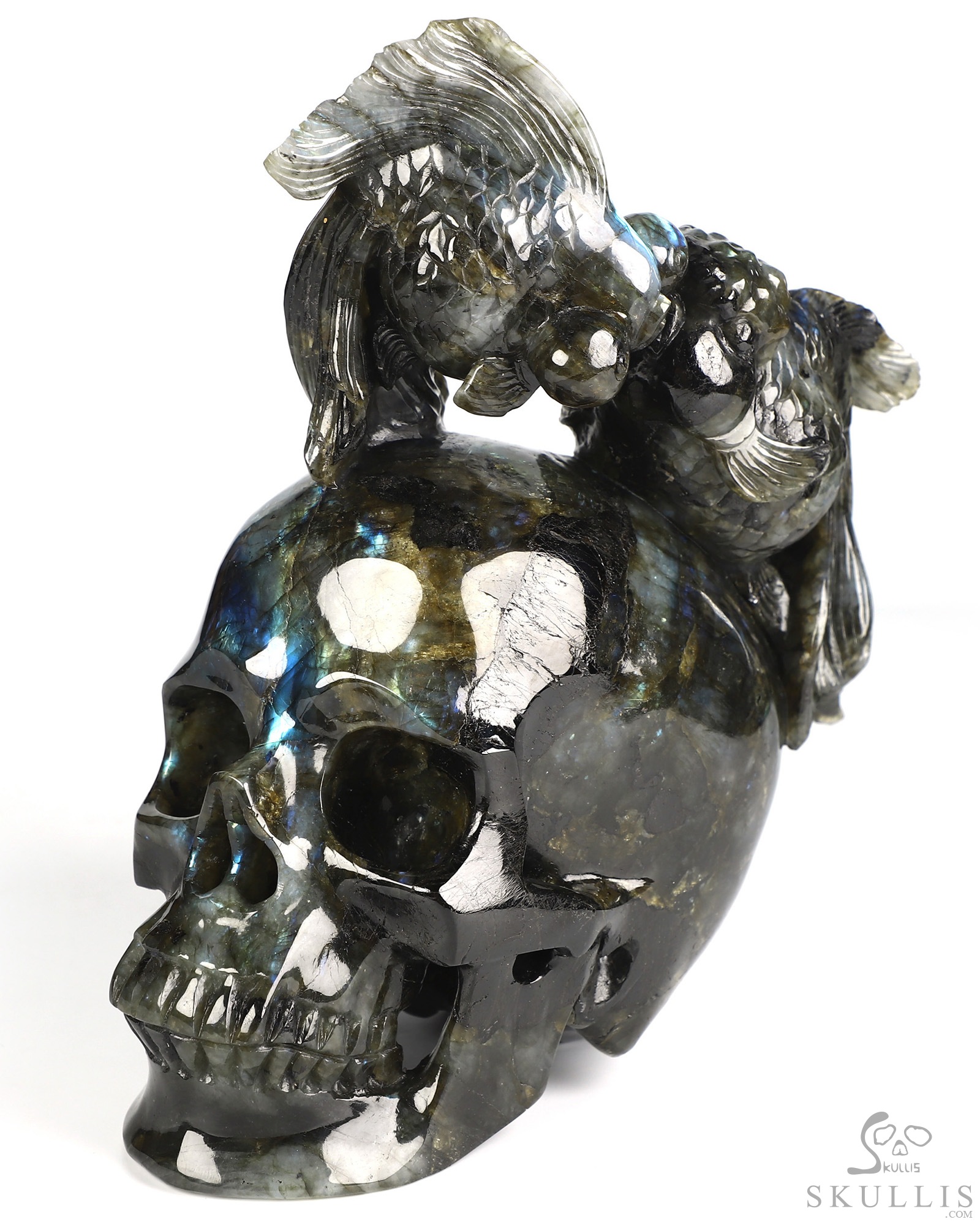 July 21, 2026 ACSAD (A Crystal Skull a Day) - Where Moonlight Swims - 8.6" Labradorite Carved Goldfish And Crystal Skull Fine Art Sculpture, Crystal Healing July 21, 2026 ACSAD (A Crystal Skull a Day) - Where Moonlight Swims - 8.6" Labradorite Carved Goldfish And Crystal Skull Fine Art Sculpture, Crystal Healing