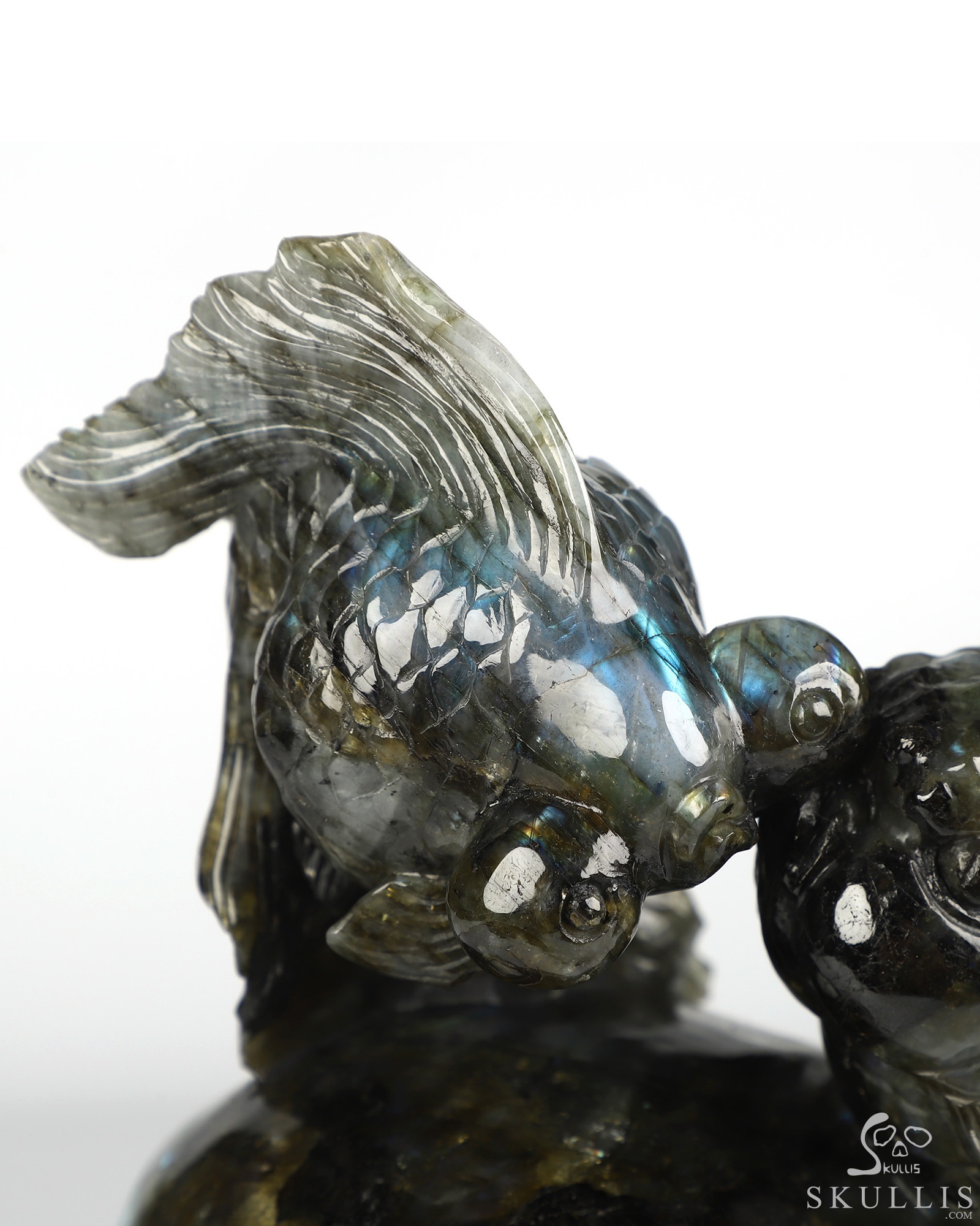 July 21, 2026 ACSAD (A Crystal Skull a Day) - Where Moonlight Swims - 8.6" Labradorite Carved Goldfish And Crystal Skull Fine Art Sculpture, Crystal Healing July 21, 2026 ACSAD (A Crystal Skull a Day) - Where Moonlight Swims - 8.6" Labradorite Carved Goldfish And Crystal Skull Fine Art Sculpture, Crystal Healing