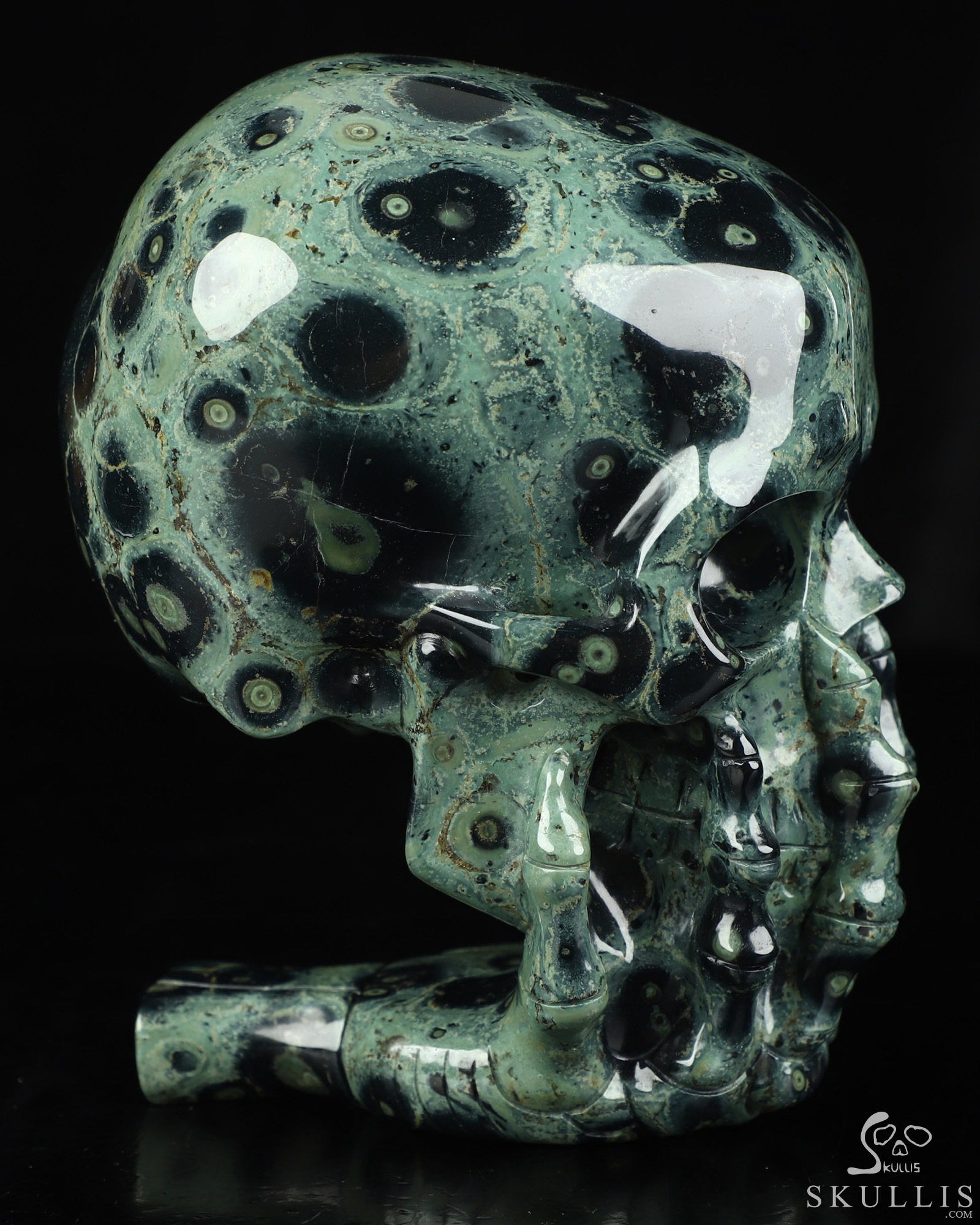 The Thinker---5.6" Kambaba Jasper Hand Carved Crystal Skull & Skeletal Hand Sculpture, Crystal Healing The Thinker---5.6" Kambaba Jasper Hand Carved Crystal Skull & Skeletal Hand Sculpture, Crystal Healing