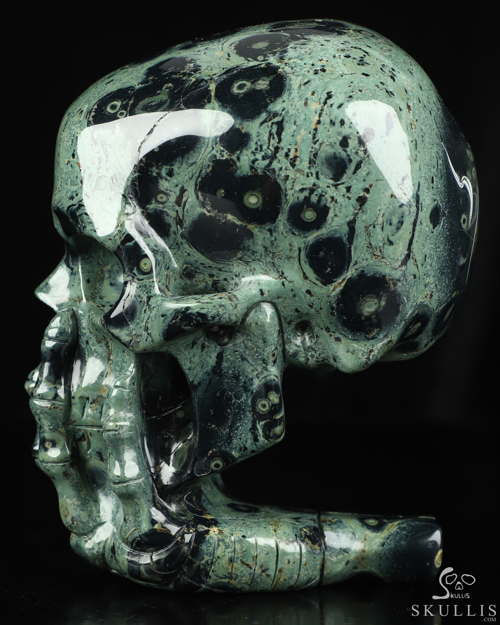 The Thinker---5.6" Kambaba Jasper Hand Carved Crystal Skull & Skeletal Hand Sculpture, Crystal Healing The Thinker---5.6" Kambaba Jasper Hand Carved Crystal Skull & Skeletal Hand Sculpture, Crystal Healing