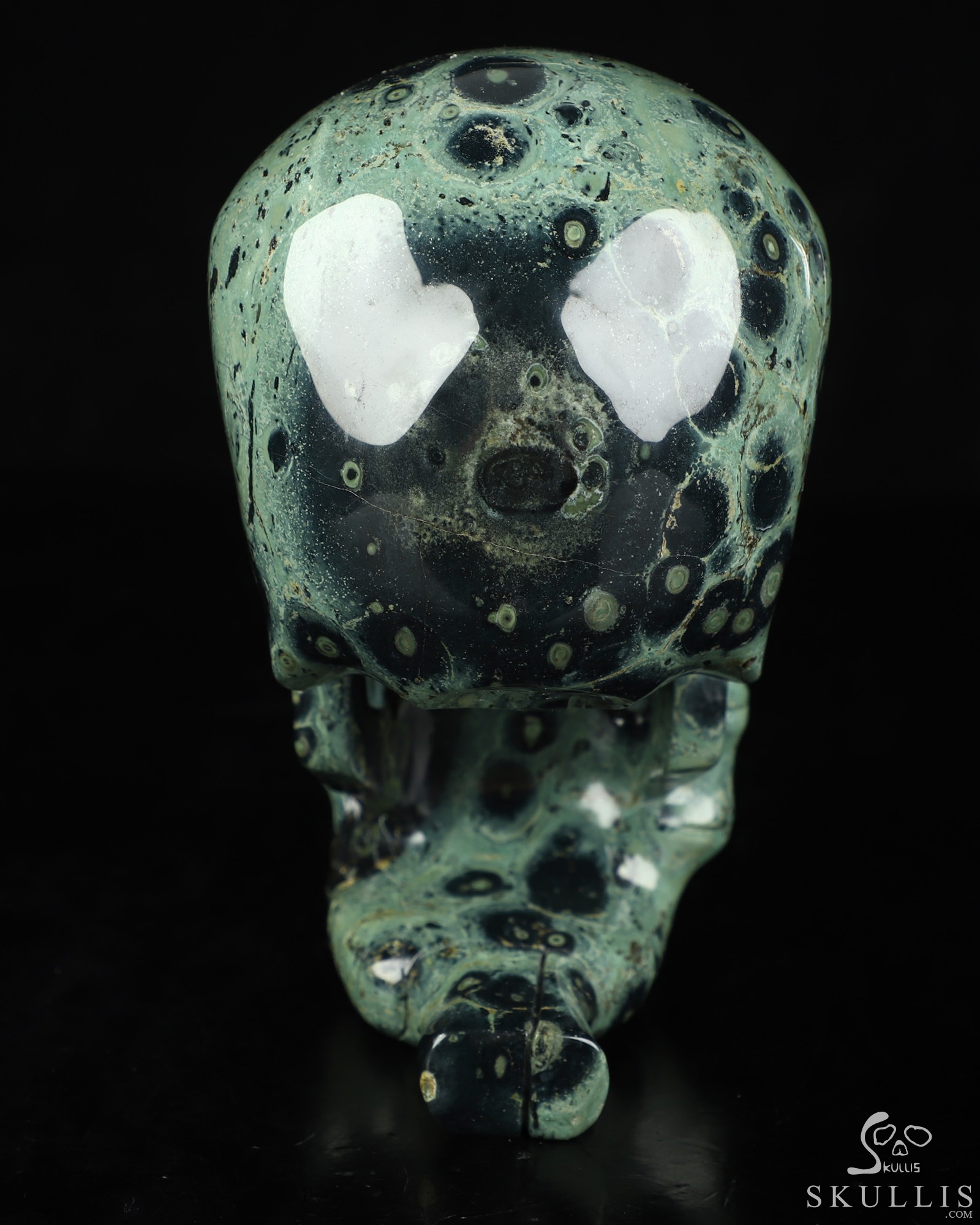The Thinker---5.6" Kambaba Jasper Hand Carved Crystal Skull & Skeletal Hand Sculpture, Crystal Healing The Thinker---5.6" Kambaba Jasper Hand Carved Crystal Skull & Skeletal Hand Sculpture, Crystal Healing