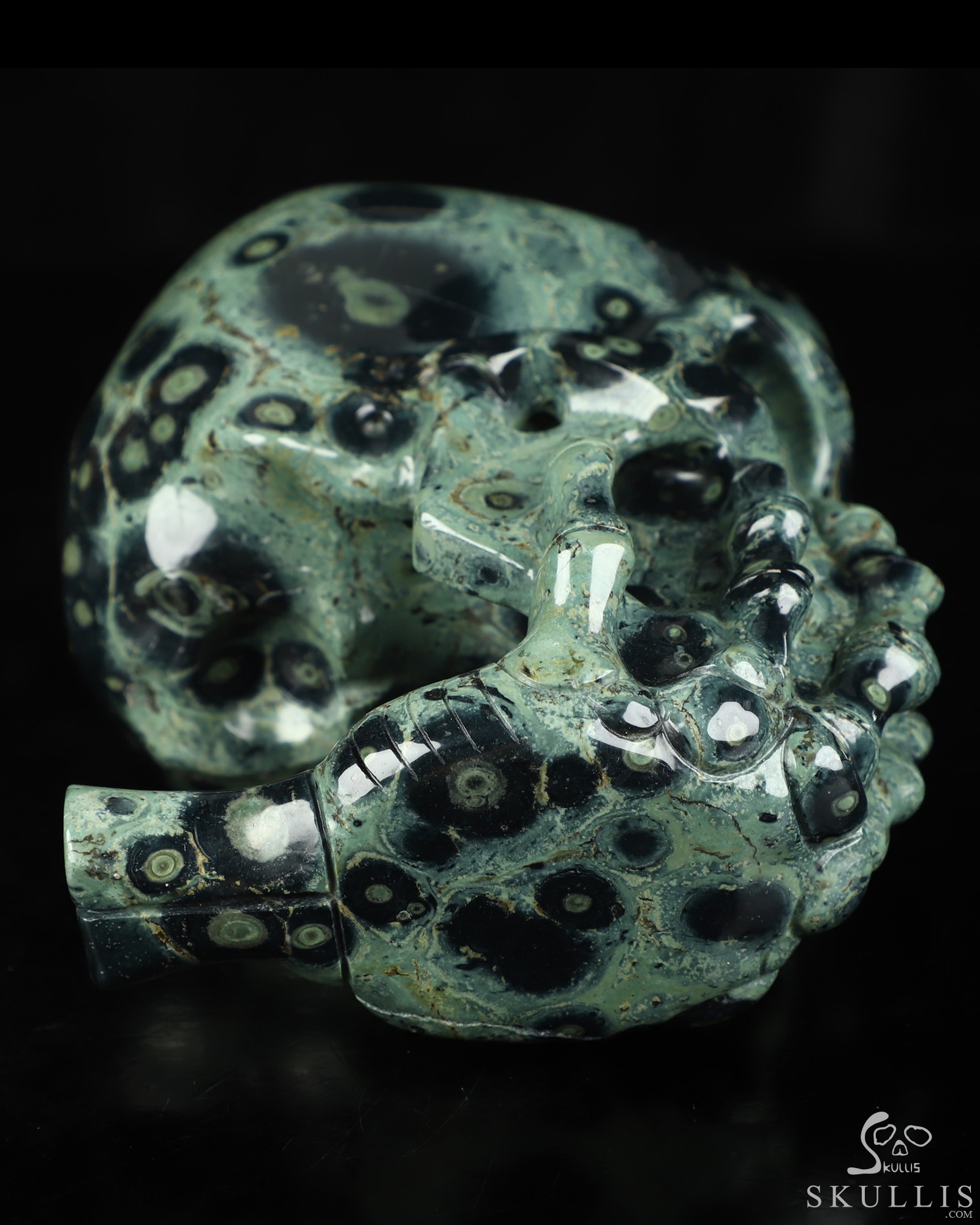 The Thinker---5.6" Kambaba Jasper Hand Carved Crystal Skull & Skeletal Hand Sculpture, Crystal Healing The Thinker---5.6" Kambaba Jasper Hand Carved Crystal Skull & Skeletal Hand Sculpture, Crystal Healing