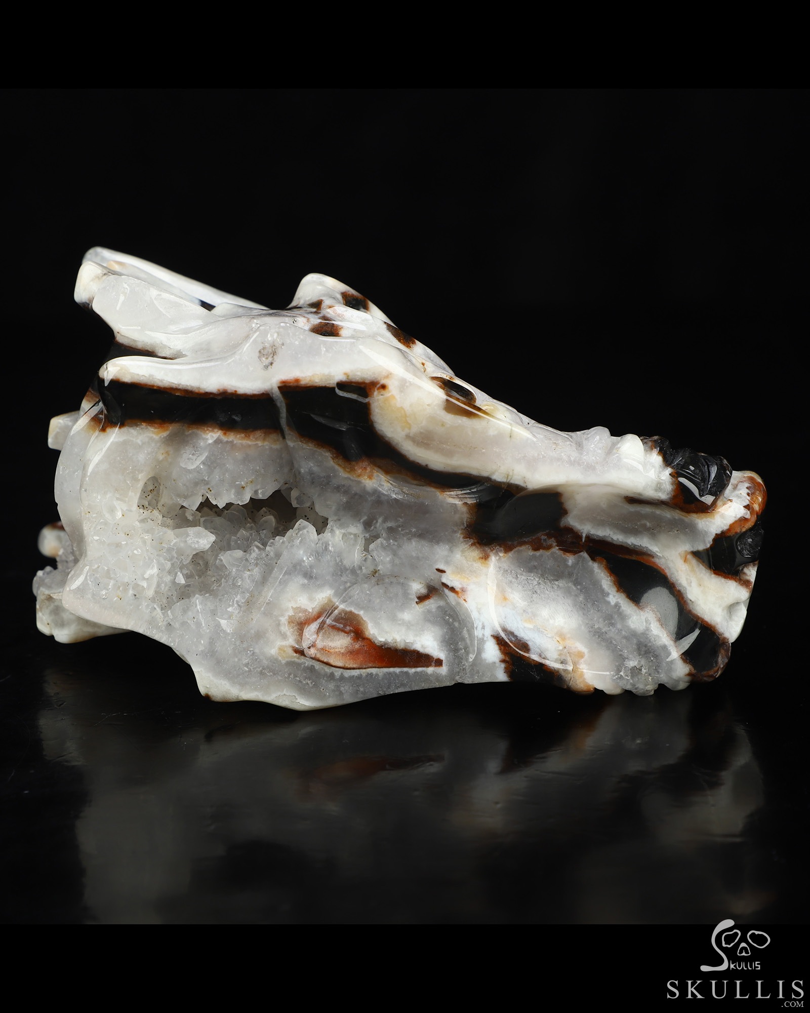 5.1" Black Zebra Agate Hand Carved Crystal Dragon Skull Sculpture, Crystal Healing 5.1" Black Zebra Agate Hand Carved Crystal Dragon Skull Sculpture, Crystal Healing
