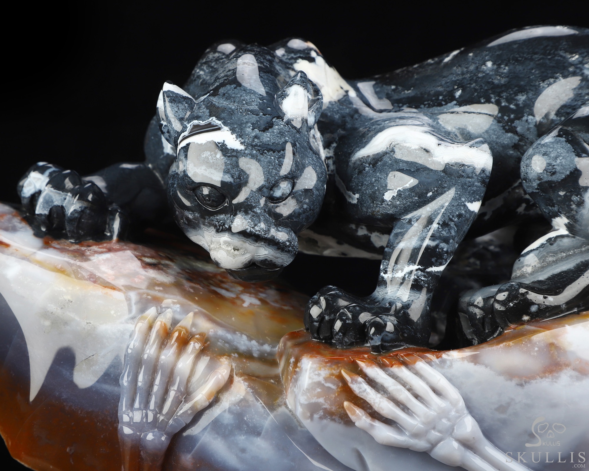 Sept 8, 2026 ACSAD (A Crystal Skull a Day) - The Grasp and the Gaze - 10.4" Black Zebra Agate Hand Carved Leopard & Crystal Skull Fine Art Sculpture, Crystal Healing Sept 8, 2026 ACSAD (A Crystal Skull a Day) - The Grasp and the Gaze - 10.4" Black Zebra Agate Hand Carved Leopard & Crystal Skull Fine Art Sculpture, Crystal Healing