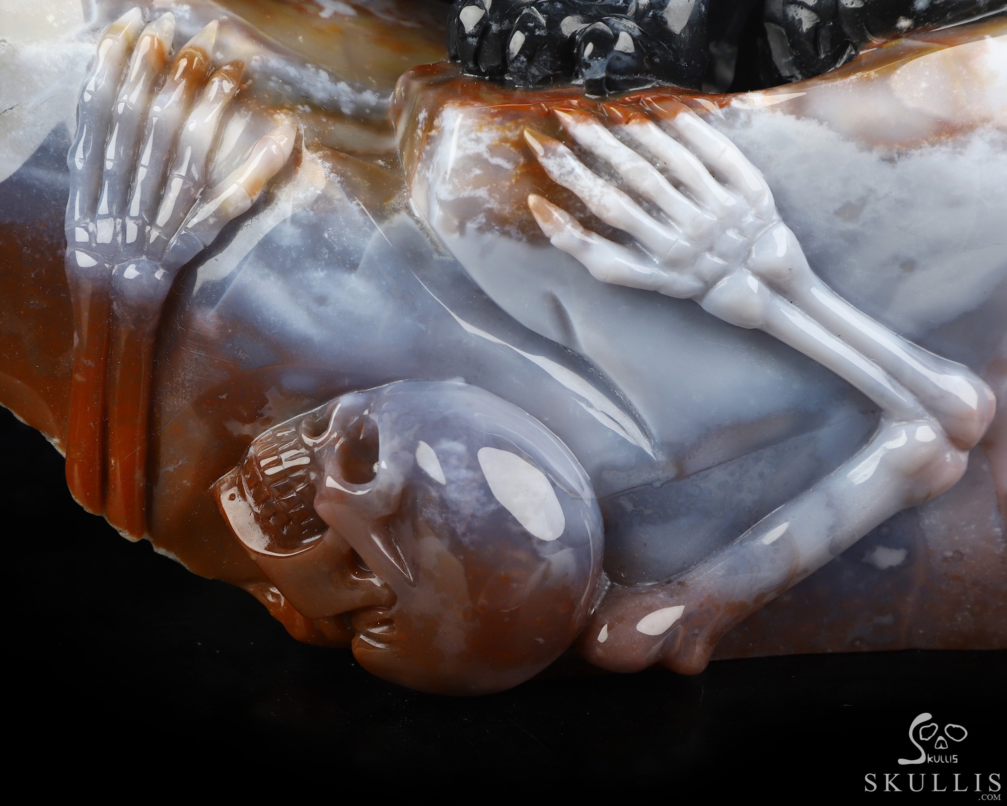 Sept 8, 2026 ACSAD (A Crystal Skull a Day) - The Grasp and the Gaze - 10.4" Black Zebra Agate Hand Carved Leopard & Crystal Skull Fine Art Sculpture, Crystal Healing Sept 8, 2026 ACSAD (A Crystal Skull a Day) - The Grasp and the Gaze - 10.4" Black Zebra Agate Hand Carved Leopard & Crystal Skull Fine Art Sculpture, Crystal Healing