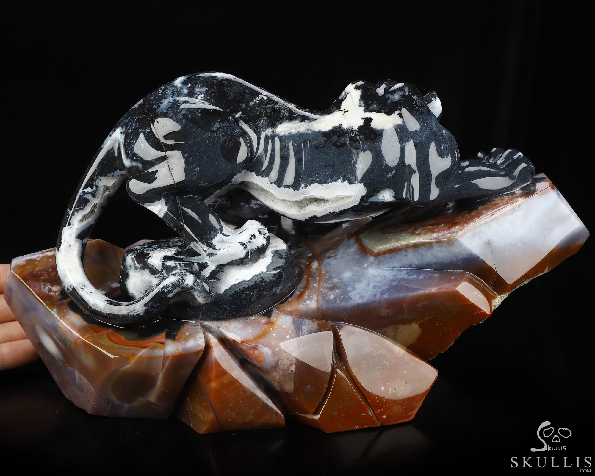 Sept 8, 2026 ACSAD (A Crystal Skull a Day) - The Grasp and the Gaze - 10.4" Black Zebra Agate Hand Carved Leopard & Crystal Skull Fine Art Sculpture, Crystal Healing Sept 8, 2026 ACSAD (A Crystal Skull a Day) - The Grasp and the Gaze - 10.4" Black Zebra Agate Hand Carved Leopard & Crystal Skull Fine Art Sculpture, Crystal Healing
