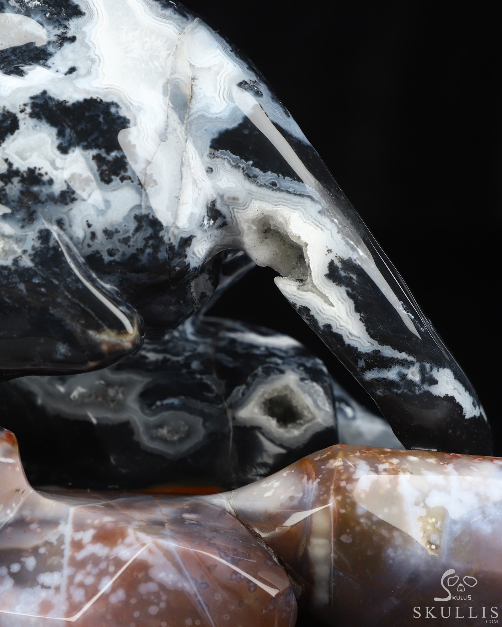 Sept 8, 2026 ACSAD (A Crystal Skull a Day) - The Grasp and the Gaze - 10.4" Black Zebra Agate Hand Carved Leopard & Crystal Skull Fine Art Sculpture, Crystal Healing Sept 8, 2026 ACSAD (A Crystal Skull a Day) - The Grasp and the Gaze - 10.4" Black Zebra Agate Hand Carved Leopard & Crystal Skull Fine Art Sculpture, Crystal Healing