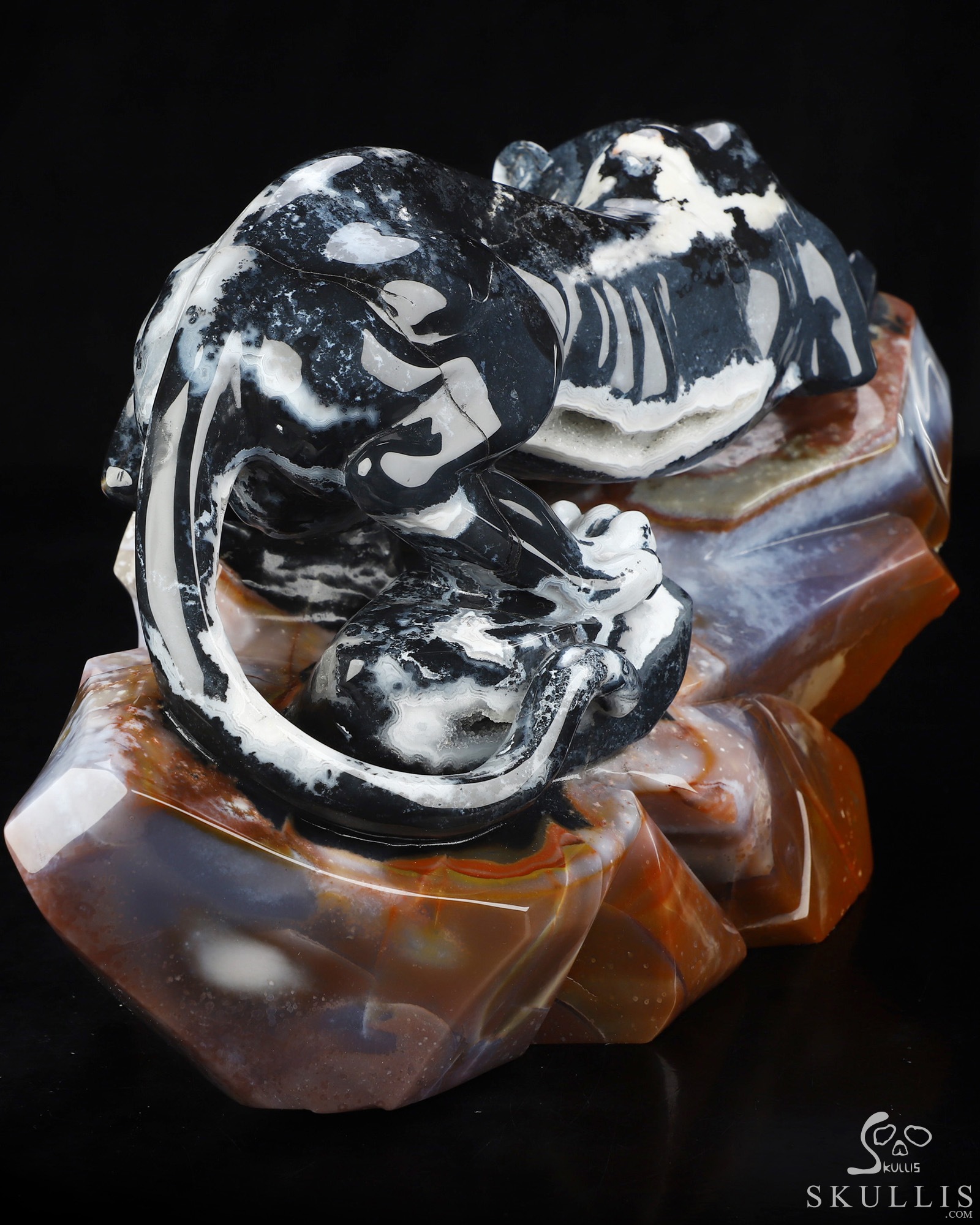 Sept 8, 2026 ACSAD (A Crystal Skull a Day) - The Grasp and the Gaze - 10.4" Black Zebra Agate Hand Carved Leopard & Crystal Skull Fine Art Sculpture, Crystal Healing Sept 8, 2026 ACSAD (A Crystal Skull a Day) - The Grasp and the Gaze - 10.4" Black Zebra Agate Hand Carved Leopard & Crystal Skull Fine Art Sculpture, Crystal Healing