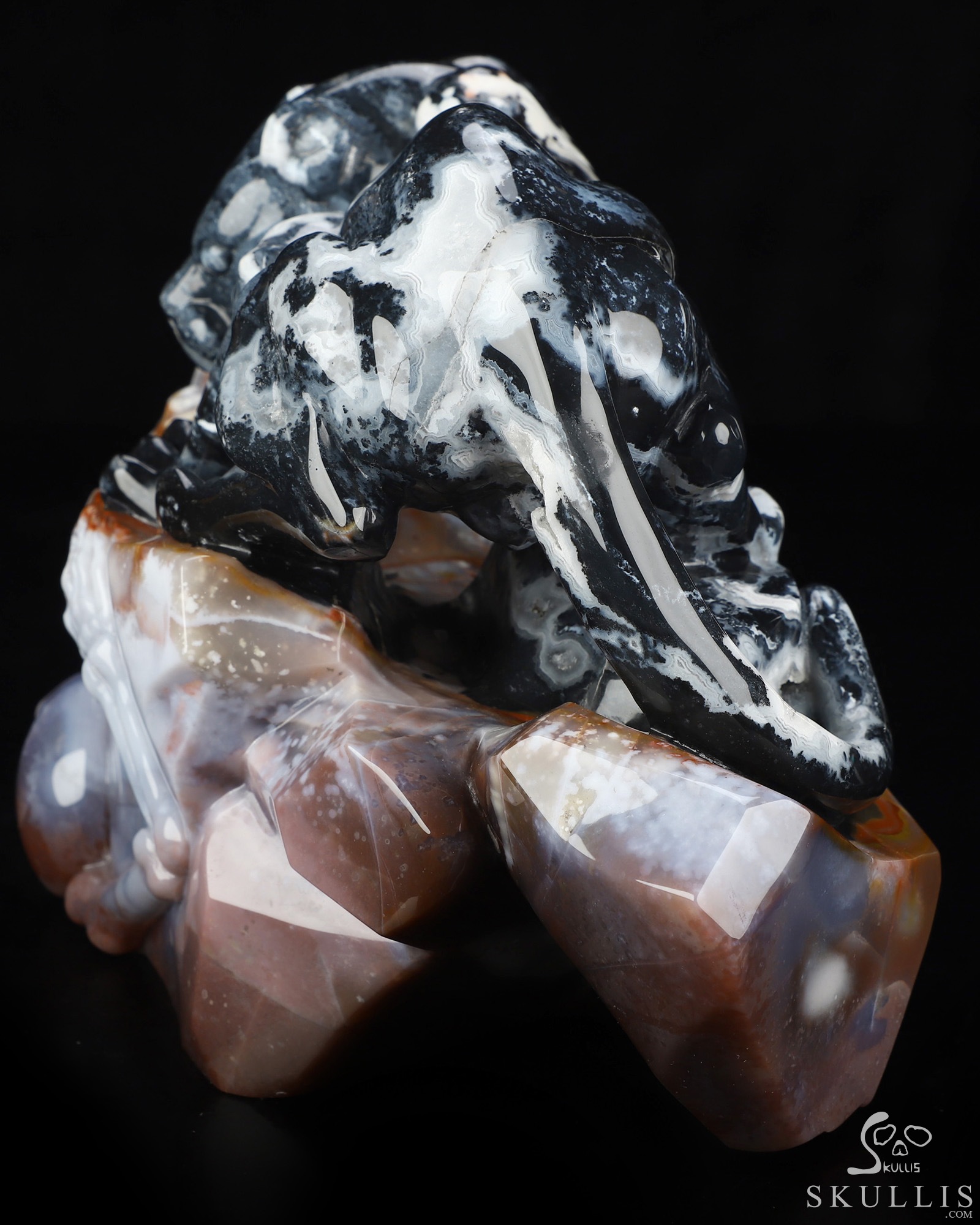 Sept 8, 2026 ACSAD (A Crystal Skull a Day) - The Grasp and the Gaze - 10.4" Black Zebra Agate Hand Carved Leopard & Crystal Skull Fine Art Sculpture, Crystal Healing Sept 8, 2026 ACSAD (A Crystal Skull a Day) - The Grasp and the Gaze - 10.4" Black Zebra Agate Hand Carved Leopard & Crystal Skull Fine Art Sculpture, Crystal Healing