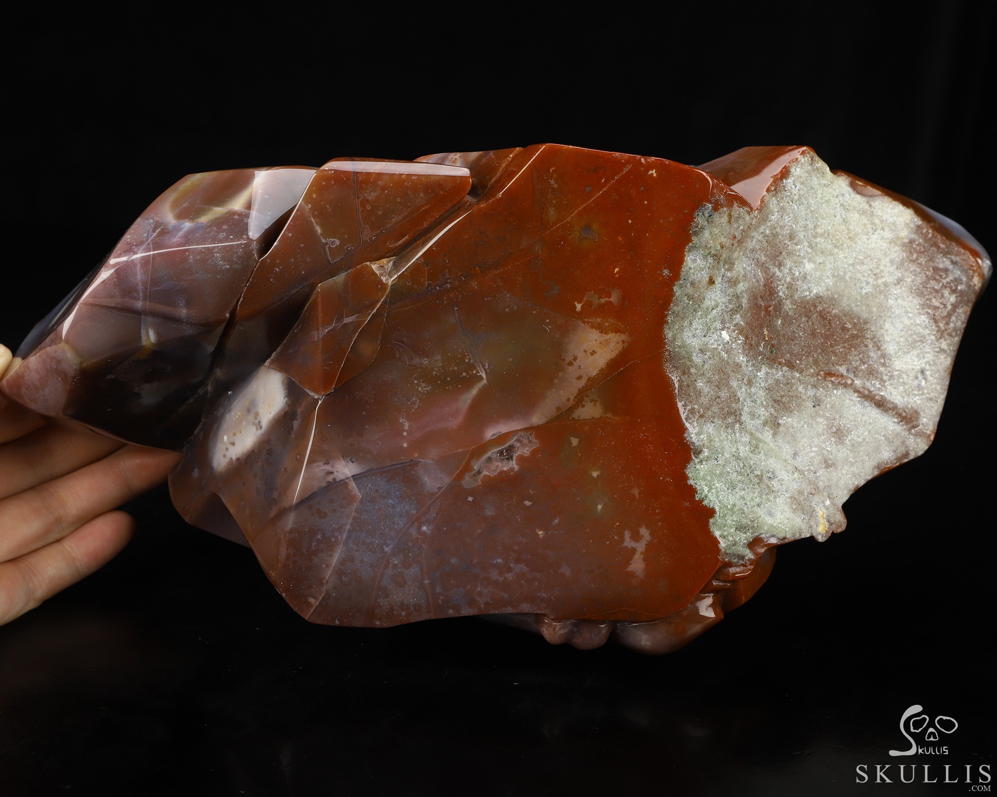Sept 8, 2026 ACSAD (A Crystal Skull a Day) - The Grasp and the Gaze - 10.4" Black Zebra Agate Hand Carved Leopard & Crystal Skull Fine Art Sculpture, Crystal Healing Sept 8, 2026 ACSAD (A Crystal Skull a Day) - The Grasp and the Gaze - 10.4" Black Zebra Agate Hand Carved Leopard & Crystal Skull Fine Art Sculpture, Crystal Healing