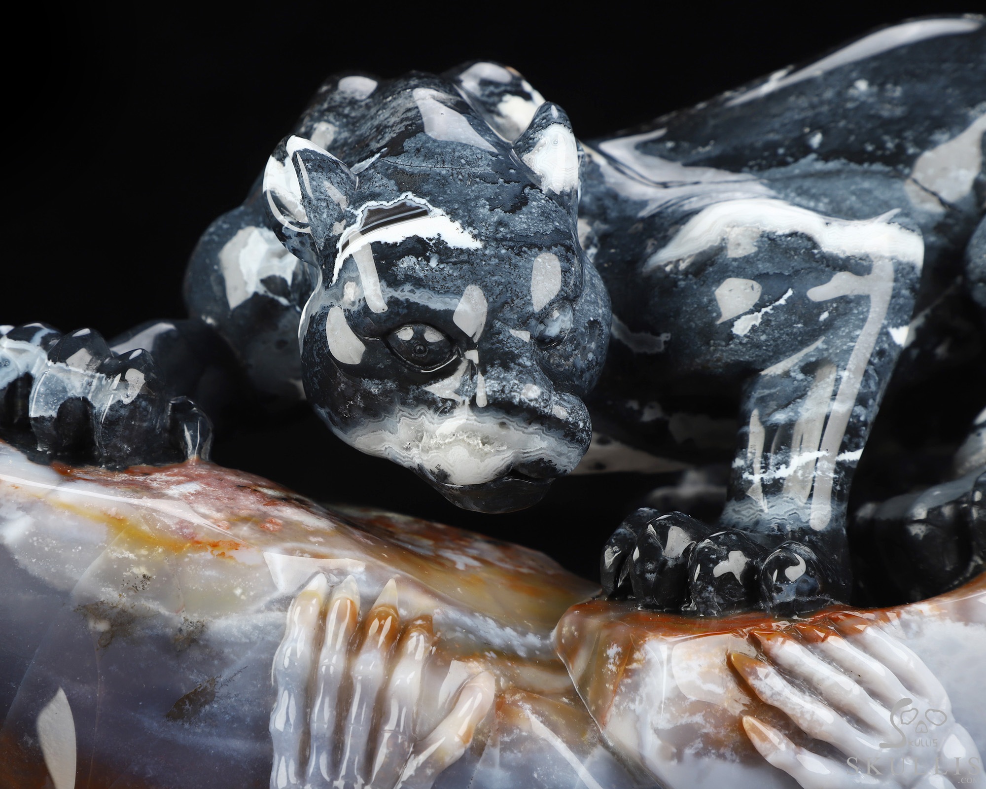 Sept 8, 2026 ACSAD (A Crystal Skull a Day) - The Grasp and the Gaze - 10.4" Black Zebra Agate Hand Carved Leopard & Crystal Skull Fine Art Sculpture, Crystal Healing Sept 8, 2026 ACSAD (A Crystal Skull a Day) - The Grasp and the Gaze - 10.4" Black Zebra Agate Hand Carved Leopard & Crystal Skull Fine Art Sculpture, Crystal Healing
