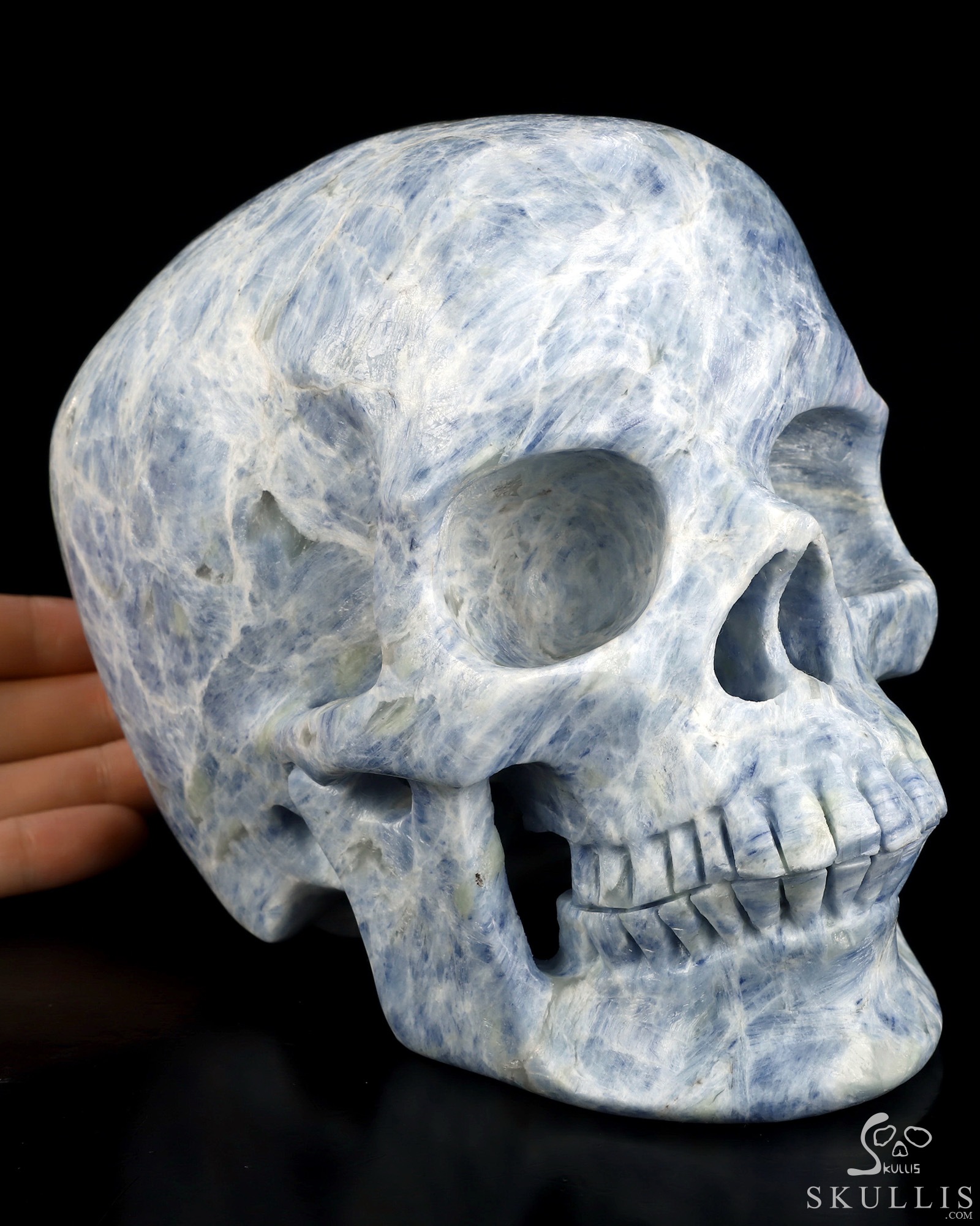 Lifesized 6.4" Kyanite Hand Carved Crystal Skull, Super Realistic, Crystal Healing Lifesized 6.4" Kyanite Hand Carved Crystal Skull, Super Realistic, Crystal Healing