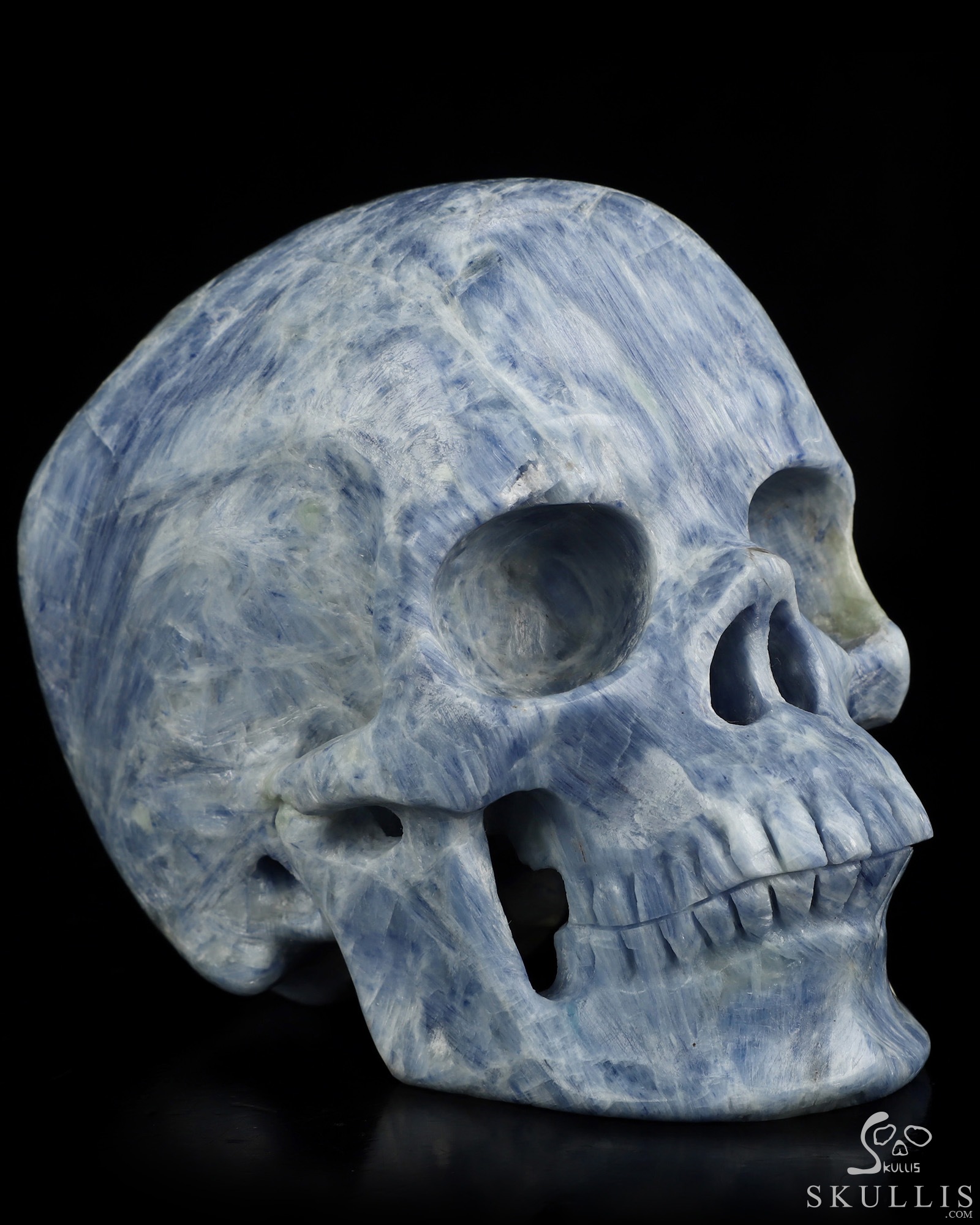 June 30, 2026 ACSAD (A Crystal Skull a Day) - The Arctic Aura - Gemstone 5.0" Kyanite Carved Crystal Skull, Super Realistic, Crystal Healing June 30, 2026 ACSAD (A Crystal Skull a Day) - The Arctic Aura - Gemstone 5.0" Kyanite Carved Crystal Skull, Super Realistic, Crystal Healing