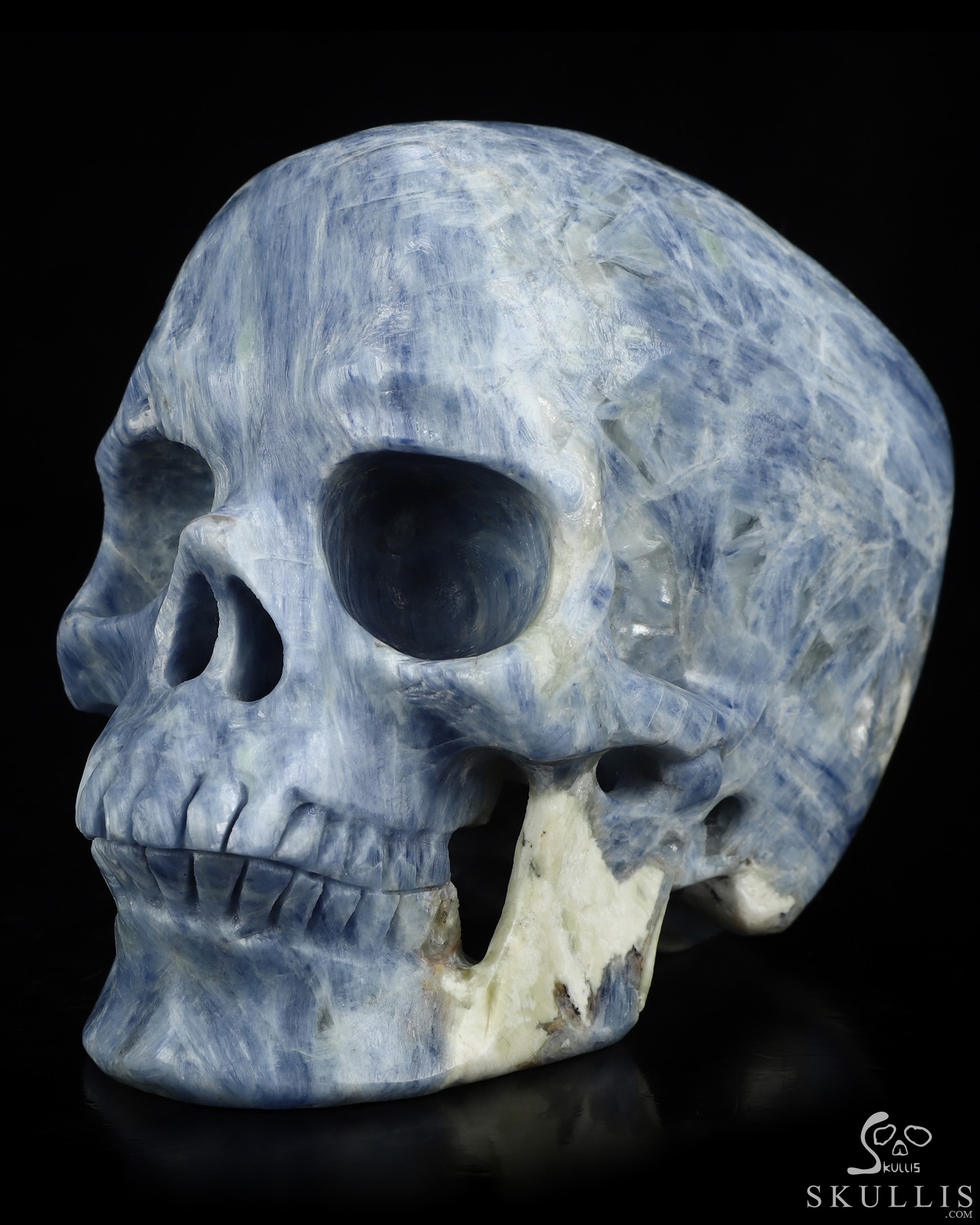 June 30, 2026 ACSAD (A Crystal Skull a Day) - The Arctic Aura - Gemstone 5.0" Kyanite Carved Crystal Skull, Super Realistic, Crystal Healing June 30, 2026 ACSAD (A Crystal Skull a Day) - The Arctic Aura - Gemstone 5.0" Kyanite Carved Crystal Skull, Super Realistic, Crystal Healing