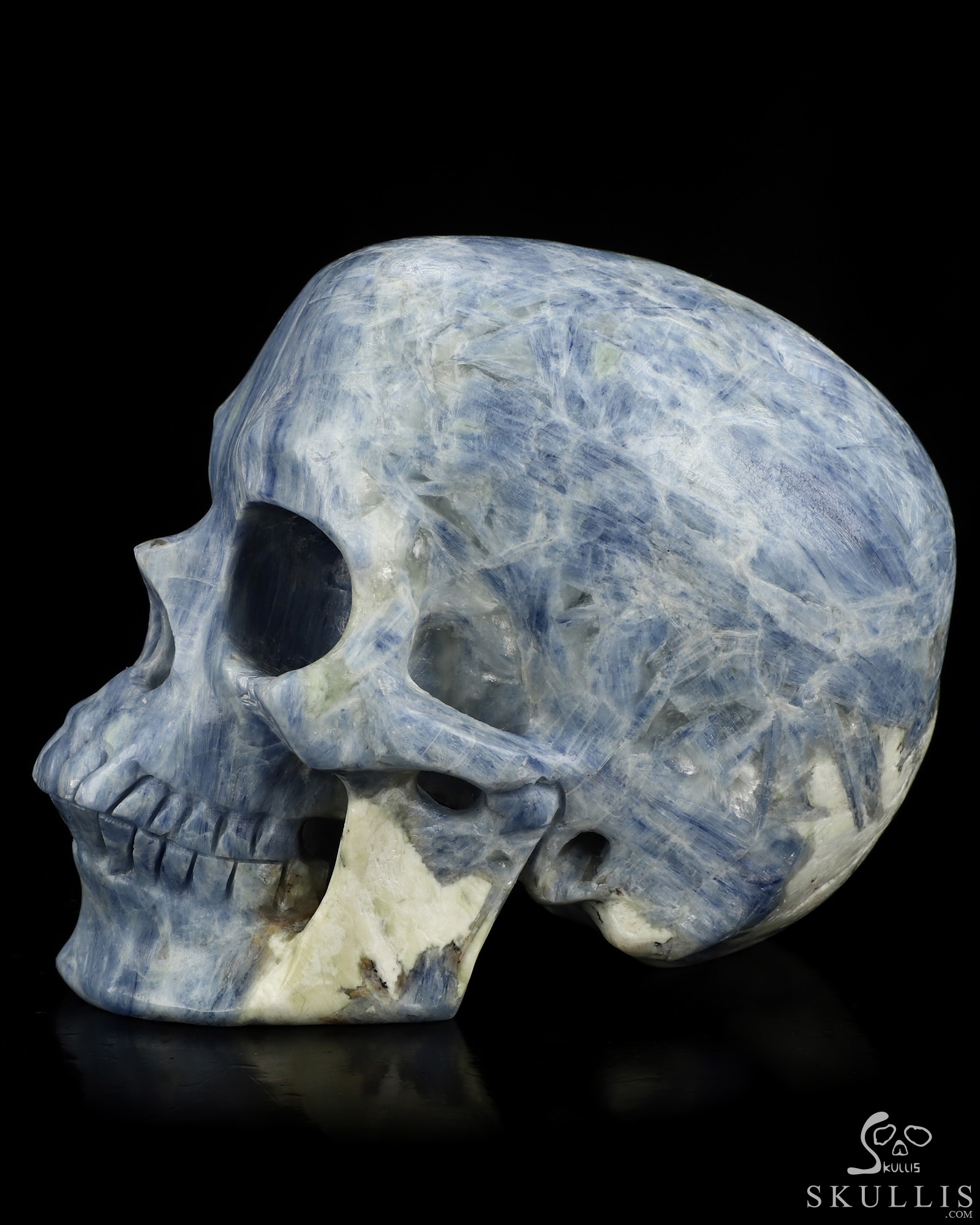 June 30, 2026 ACSAD (A Crystal Skull a Day) - The Arctic Aura - Gemstone 5.0" Kyanite Carved Crystal Skull, Super Realistic, Crystal Healing June 30, 2026 ACSAD (A Crystal Skull a Day) - The Arctic Aura - Gemstone 5.0" Kyanite Carved Crystal Skull, Super Realistic, Crystal Healing