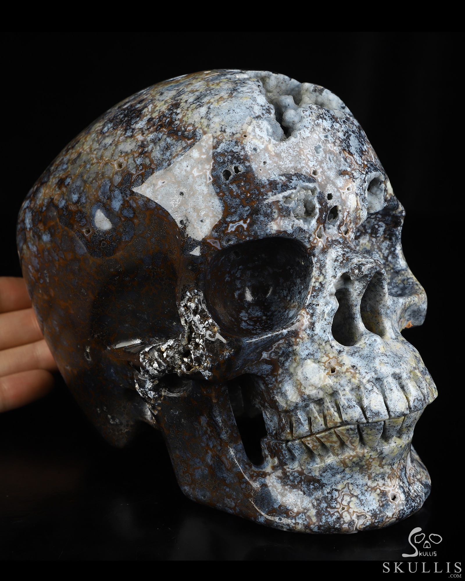 Sept 7, 2026 ACSAD (A Crystal Skull a Day) - Silent Current - Lifesized 6.8" Blue Ocean Agate Hand Carved Crystal Skull, Super Realistic, Crystal Healing Sept 7, 2026 ACSAD (A Crystal Skull a Day) - Silent Current - Lifesized 6.8" Blue Ocean Agate Hand Carved Crystal Skull, Super Realistic, Crystal Healing