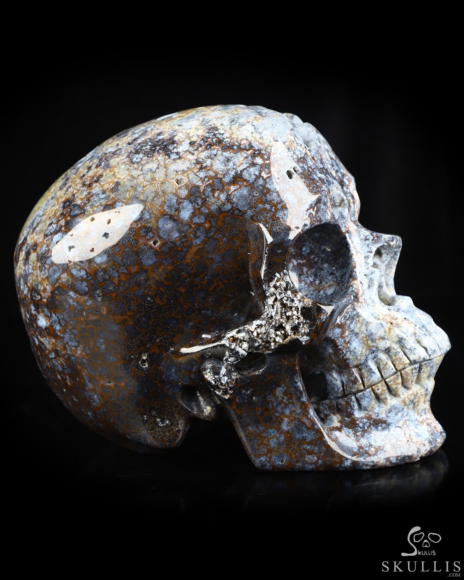 Sept 7, 2026 ACSAD (A Crystal Skull a Day) - Silent Current - Lifesized 6.8" Blue Ocean Agate Hand Carved Crystal Skull, Super Realistic, Crystal Healing Sept 7, 2026 ACSAD (A Crystal Skull a Day) - Silent Current - Lifesized 6.8" Blue Ocean Agate Hand Carved Crystal Skull, Super Realistic, Crystal Healing