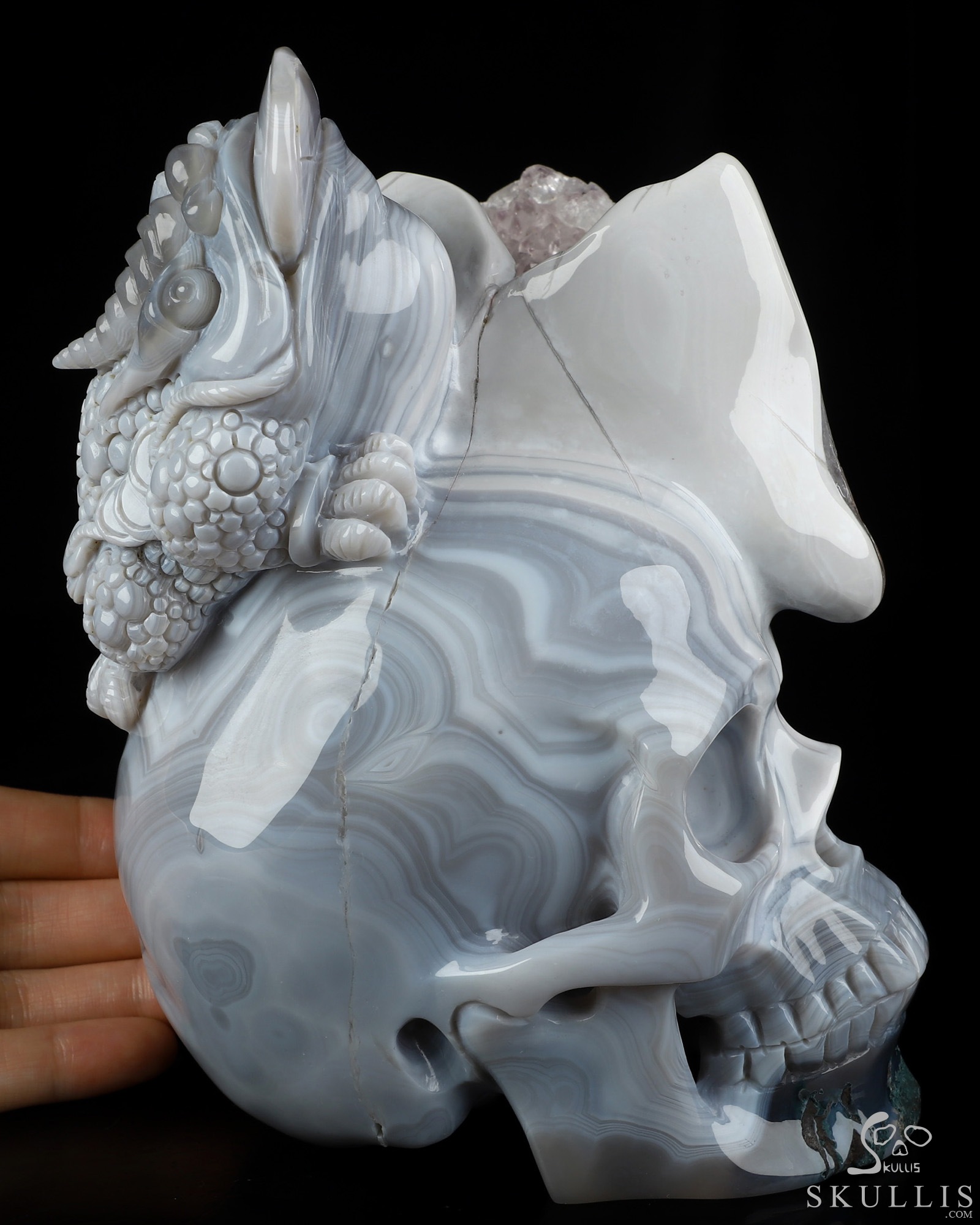 6.7" Agate Amethyst Geode Hand Carved Crystal Skull and Toad Fine Art Sculpture, Crystal Healing 6.7" Agate Amethyst Geode Hand Carved Crystal Skull and Toad Fine Art Sculpture, Crystal Healing