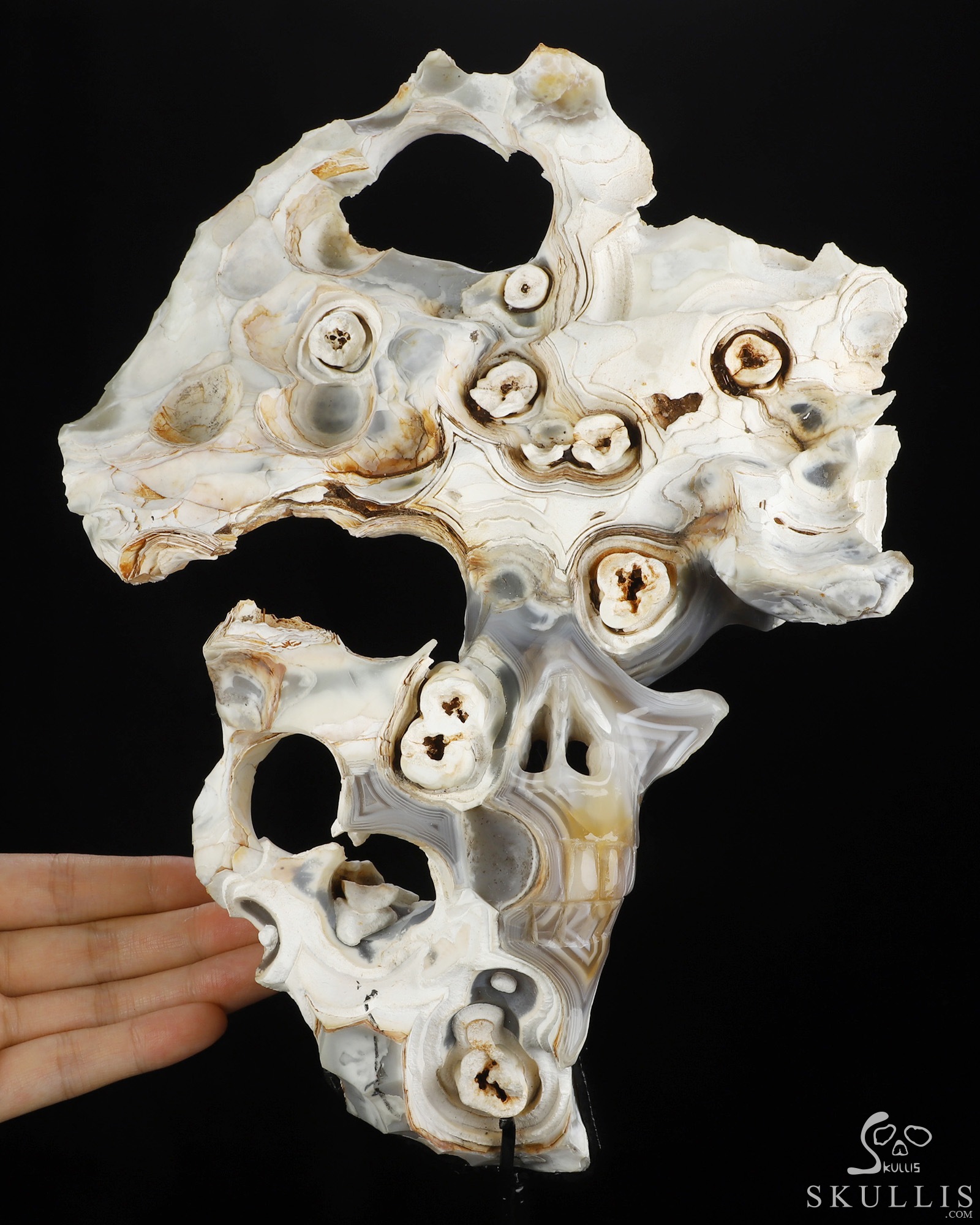 Sept 28, 2026 ACSAD (A Crystal Skull a Day) - This, Too, Is Life. - 10.1" Banded Agate Hand Carved Creative Crystal Skull Fine Art Sculpture, Crystal Healing Sept 28, 2026 ACSAD (A Crystal Skull a Day) - This, Too, Is Life. - 10.1" Banded Agate Hand Carved Creative Crystal Skull Fine Art Sculpture, Crystal Healing
