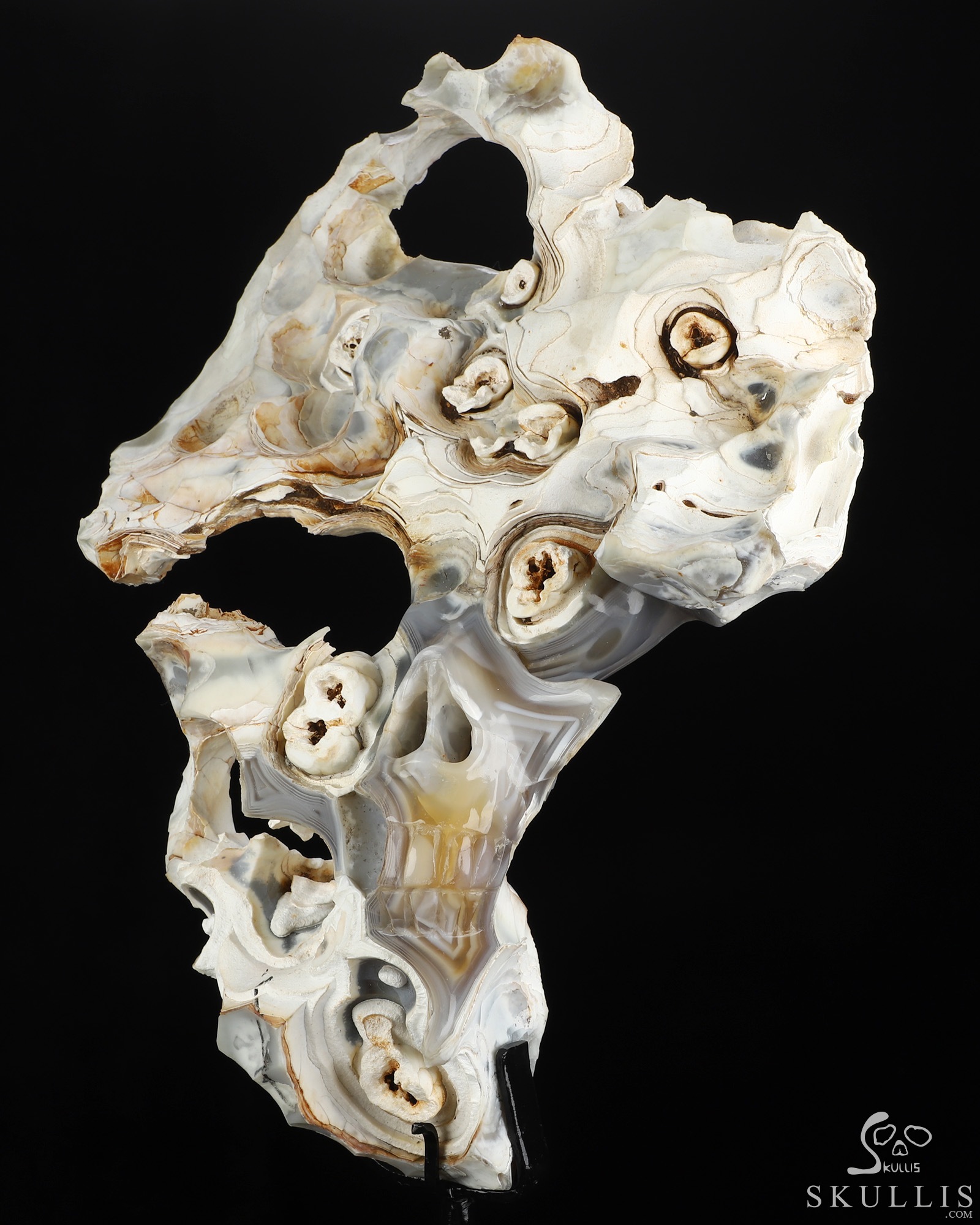 Sept 28, 2026 ACSAD (A Crystal Skull a Day) - This, Too, Is Life. - 10.1" Banded Agate Hand Carved Creative Crystal Skull Fine Art Sculpture, Crystal Healing Sept 28, 2026 ACSAD (A Crystal Skull a Day) - This, Too, Is Life. - 10.1" Banded Agate Hand Carved Creative Crystal Skull Fine Art Sculpture, Crystal Healing