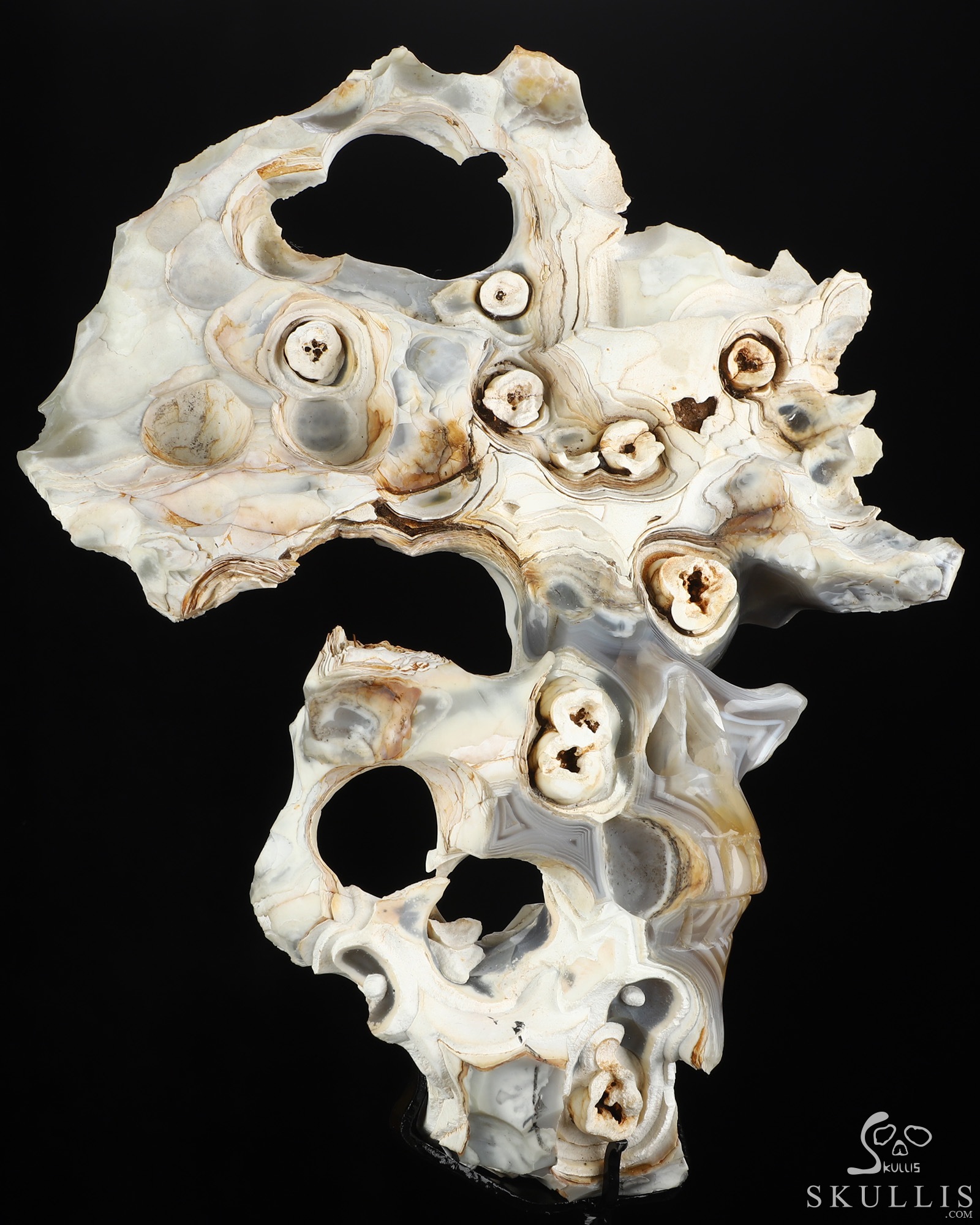 Sept 28, 2026 ACSAD (A Crystal Skull a Day) - This, Too, Is Life. - 10.1" Banded Agate Hand Carved Creative Crystal Skull Fine Art Sculpture, Crystal Healing Sept 28, 2026 ACSAD (A Crystal Skull a Day) - This, Too, Is Life. - 10.1" Banded Agate Hand Carved Creative Crystal Skull Fine Art Sculpture, Crystal Healing