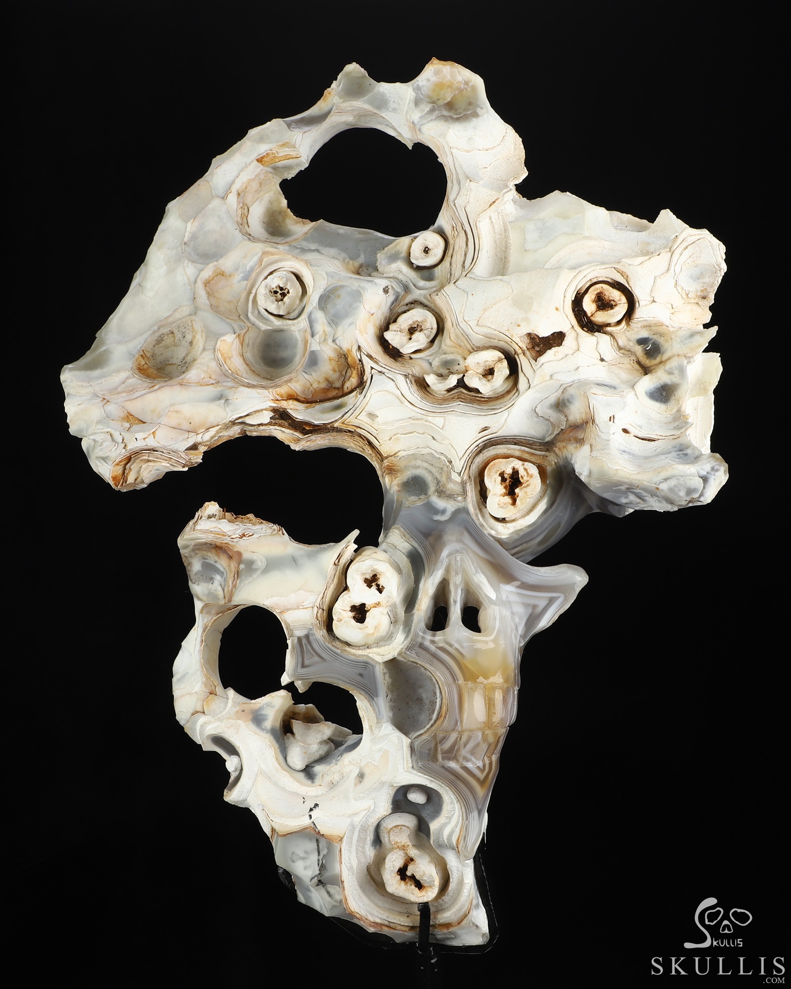 Sept 28, 2026 ACSAD (A Crystal Skull a Day) - This, Too, Is Life. - 10.1" Banded Agate Hand Carved Creative Crystal Skull Fine Art Sculpture, Crystal Healing Sept 28, 2026 ACSAD (A Crystal Skull a Day) - This, Too, Is Life. - 10.1" Banded Agate Hand Carved Creative Crystal Skull Fine Art Sculpture, Crystal Healing