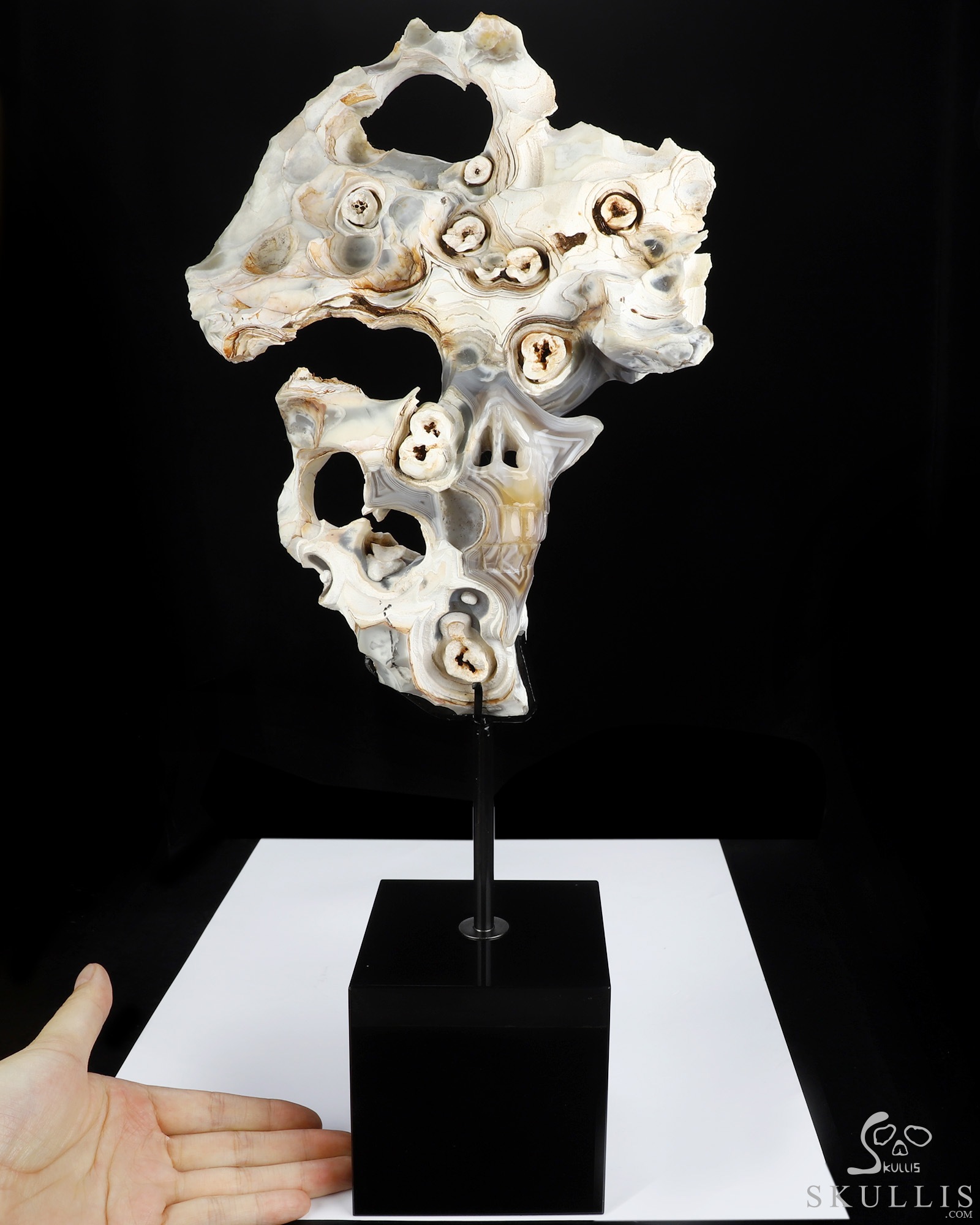 Sept 28, 2026 ACSAD (A Crystal Skull a Day) - This, Too, Is Life. - 10.1" Banded Agate Hand Carved Creative Crystal Skull Fine Art Sculpture, Crystal Healing Sept 28, 2026 ACSAD (A Crystal Skull a Day) - This, Too, Is Life. - 10.1" Banded Agate Hand Carved Creative Crystal Skull Fine Art Sculpture, Crystal Healing