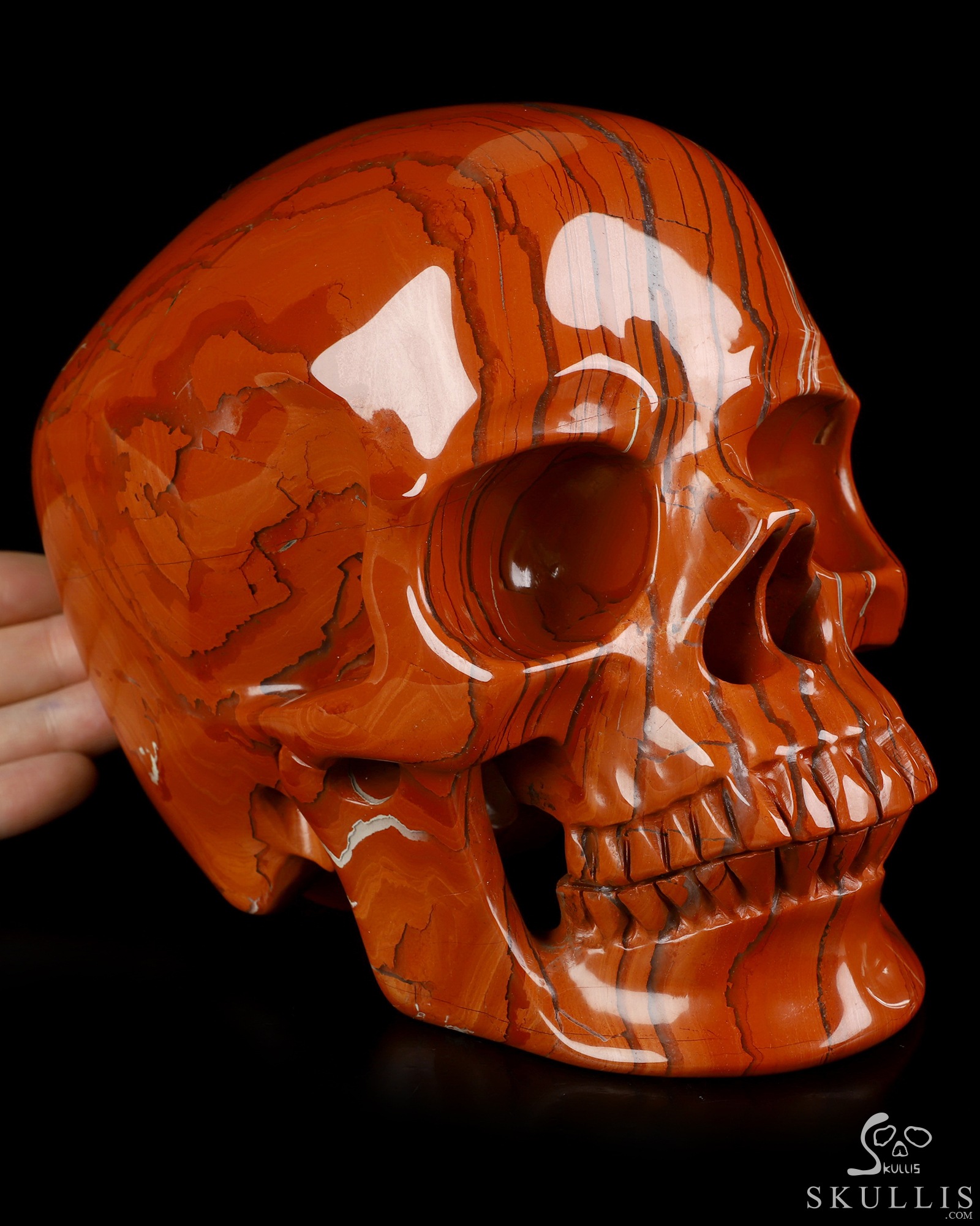 Lifesized 6.8" Red Jasper Hand Carved Crystal Skull, Super Realistic, Crystal Healing Lifesized 6.8" Red Jasper Hand Carved Crystal Skull, Super Realistic, Crystal Healing