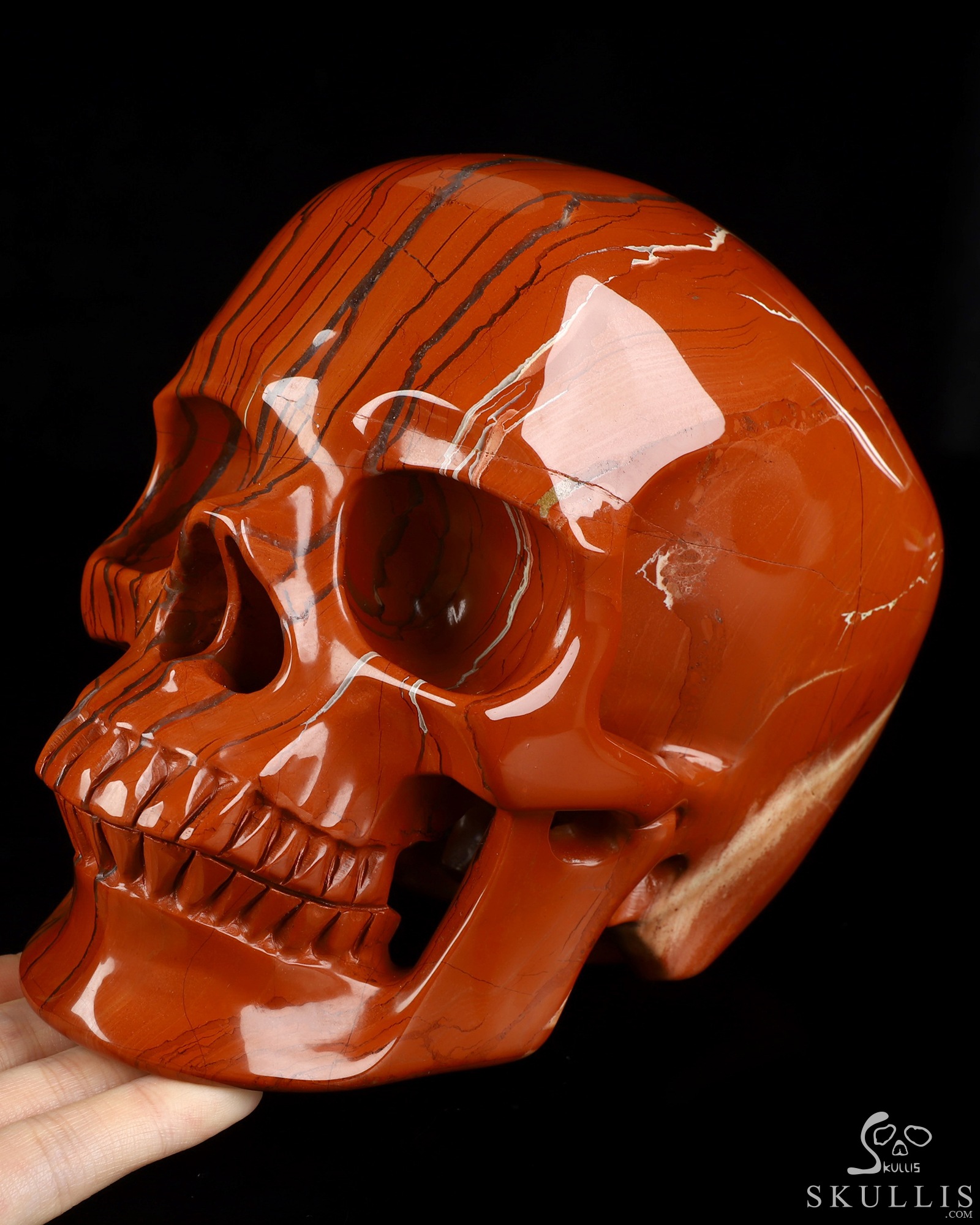 Lifesized 6.8" Red Jasper Hand Carved Crystal Skull, Super Realistic, Crystal Healing Lifesized 6.8" Red Jasper Hand Carved Crystal Skull, Super Realistic, Crystal Healing