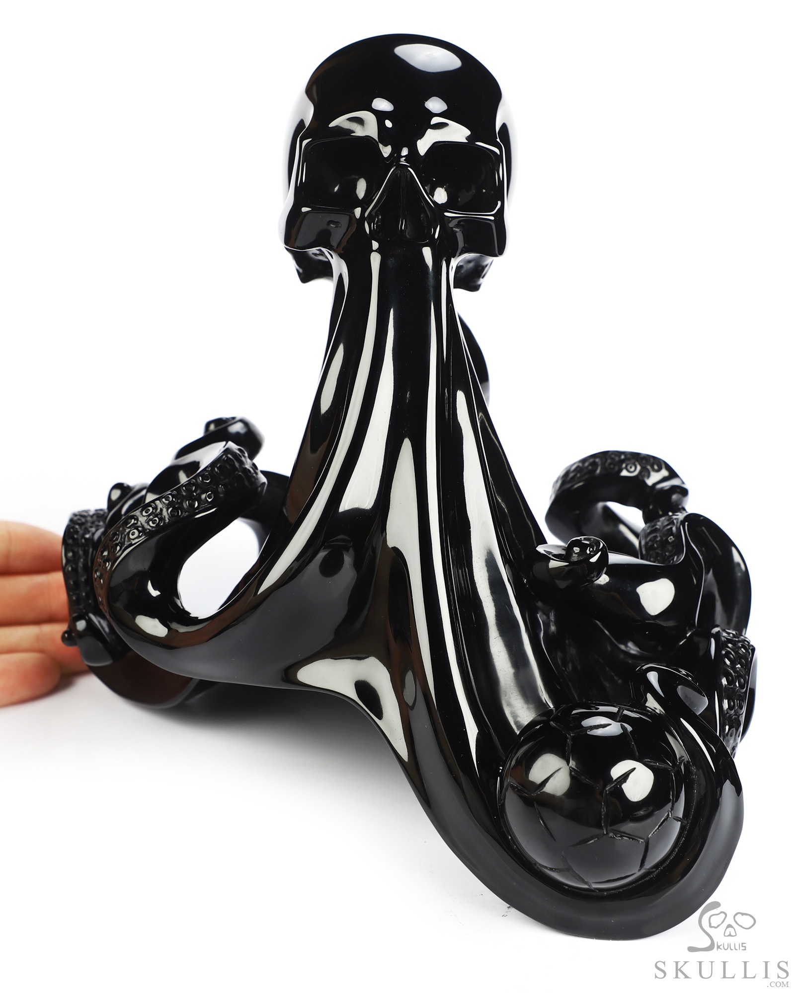 July 17, 2026 ACSAD (A Crystal Skull a Day) - The Blue Sharks' Wave - 6.9" Black Obsidian Carved Octopus Crystal Skull Fine Art Sculpture, Crystal Healing July 17, 2026 ACSAD (A Crystal Skull a Day) - The Blue Sharks' Wave - 6.9" Black Obsidian Carved Octopus Crystal Skull Fine Art Sculpture, Crystal Healing