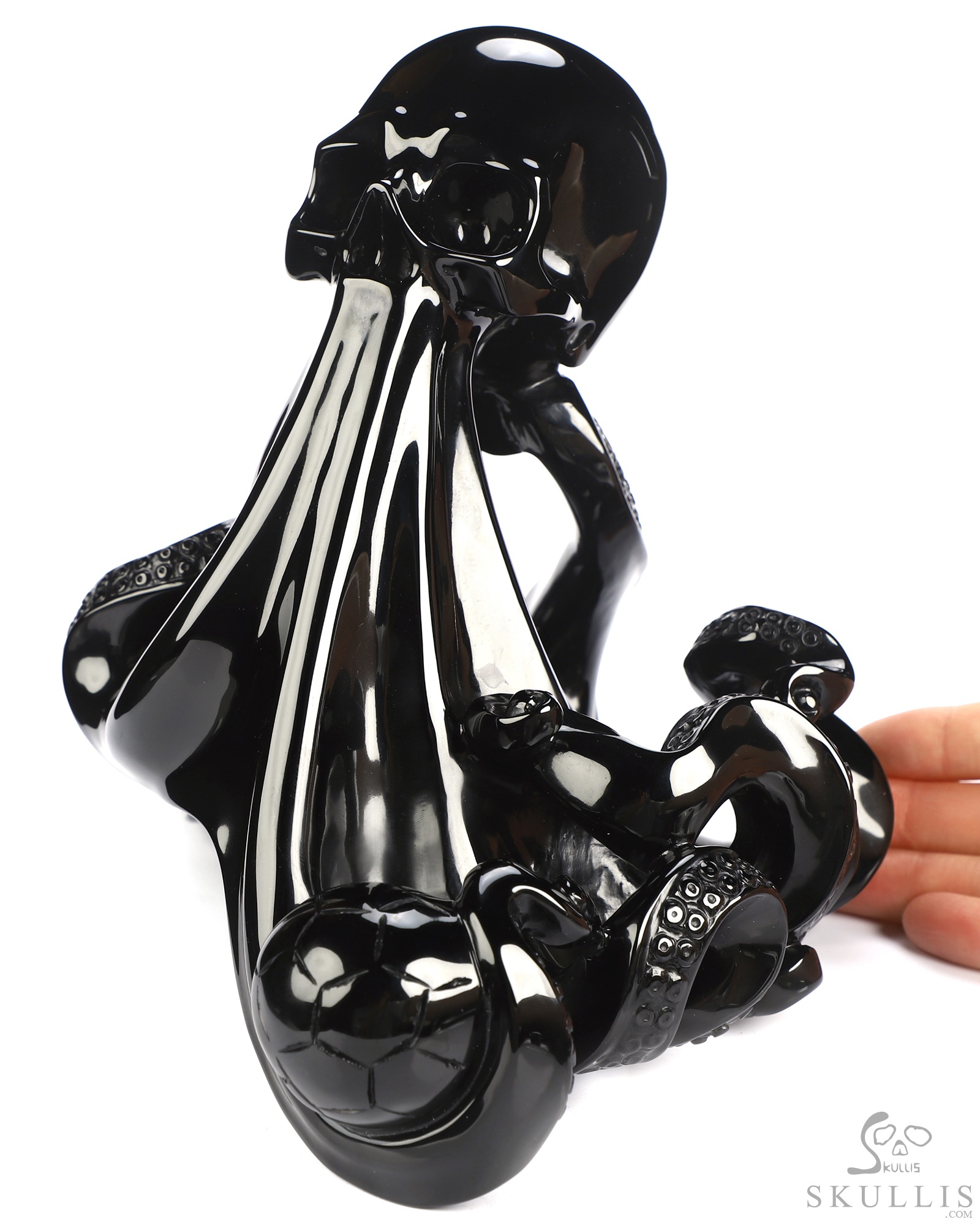 July 17, 2026 ACSAD (A Crystal Skull a Day) - The Blue Sharks' Wave - 6.9" Black Obsidian Carved Octopus Crystal Skull Fine Art Sculpture, Crystal Healing July 17, 2026 ACSAD (A Crystal Skull a Day) - The Blue Sharks' Wave - 6.9" Black Obsidian Carved Octopus Crystal Skull Fine Art Sculpture, Crystal Healing