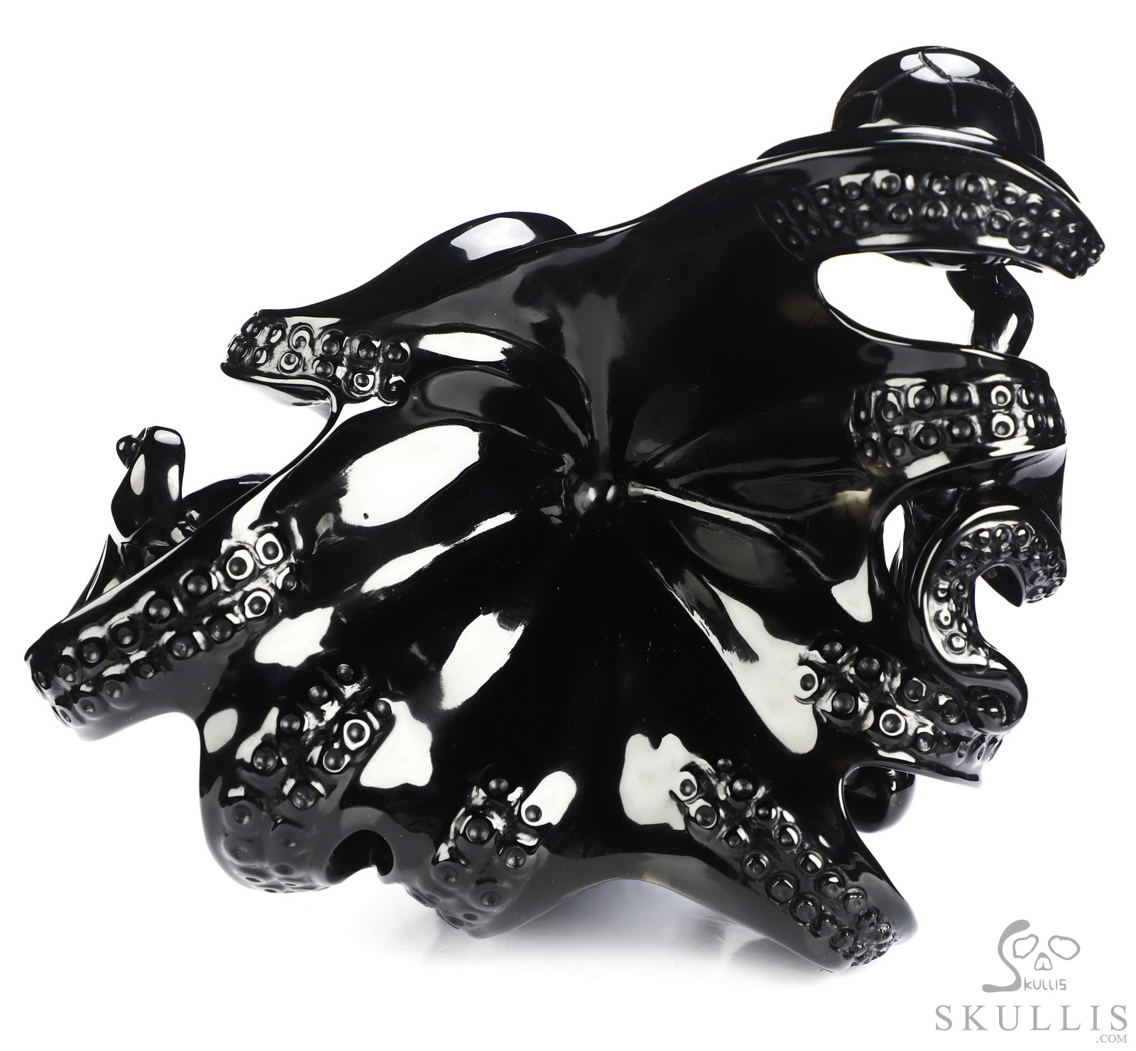 July 17, 2026 ACSAD (A Crystal Skull a Day) - The Blue Sharks' Wave - 6.9" Black Obsidian Carved Octopus Crystal Skull Fine Art Sculpture, Crystal Healing July 17, 2026 ACSAD (A Crystal Skull a Day) - The Blue Sharks' Wave - 6.9" Black Obsidian Carved Octopus Crystal Skull Fine Art Sculpture, Crystal Healing