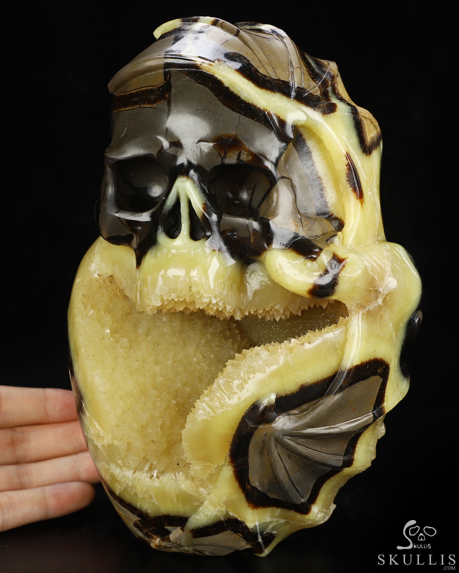 7.6" Dragon Septarian Stone Geode Hand Carved Crystal Skull Fine Art Sculpture, Crystal Healing 7.6" Dragon Septarian Stone Geode Hand Carved Crystal Skull Fine Art Sculpture, Crystal Healing