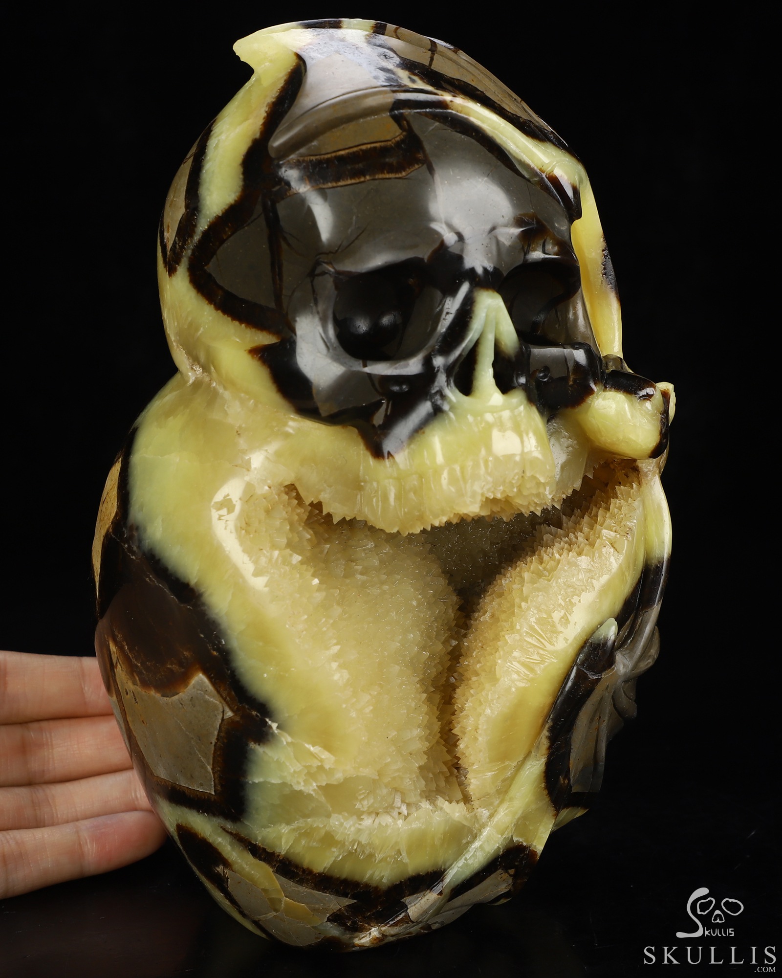 7.6" Dragon Septarian Stone Geode Hand Carved Crystal Skull Fine Art Sculpture, Crystal Healing 7.6" Dragon Septarian Stone Geode Hand Carved Crystal Skull Fine Art Sculpture, Crystal Healing