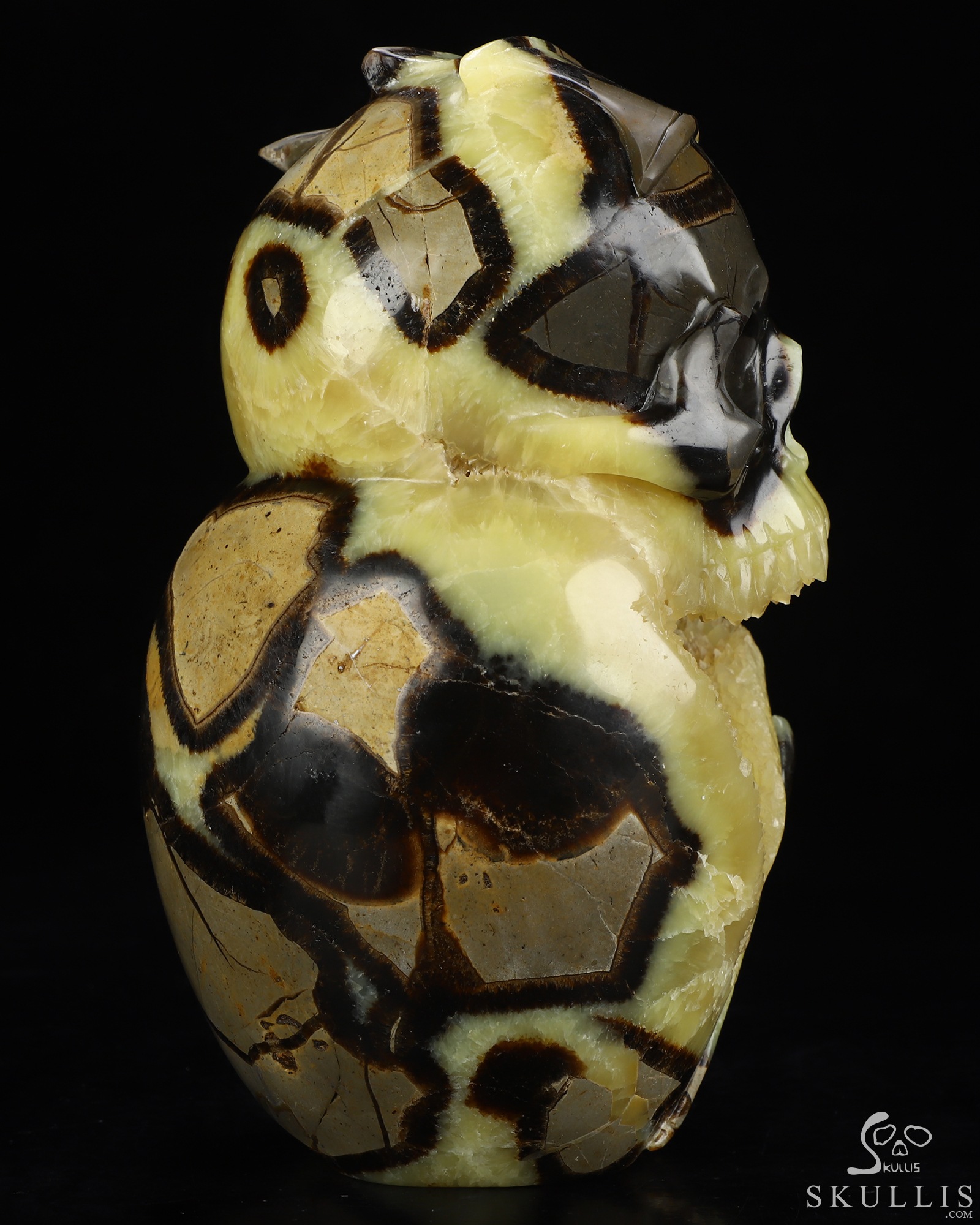 7.6" Dragon Septarian Stone Geode Hand Carved Crystal Skull Fine Art Sculpture, Crystal Healing 7.6" Dragon Septarian Stone Geode Hand Carved Crystal Skull Fine Art Sculpture, Crystal Healing