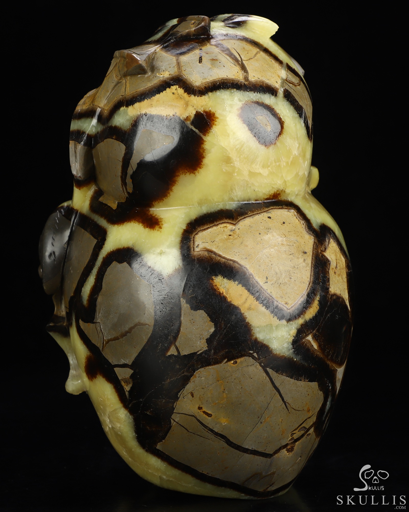 7.6" Dragon Septarian Stone Geode Hand Carved Crystal Skull Fine Art Sculpture, Crystal Healing 7.6" Dragon Septarian Stone Geode Hand Carved Crystal Skull Fine Art Sculpture, Crystal Healing