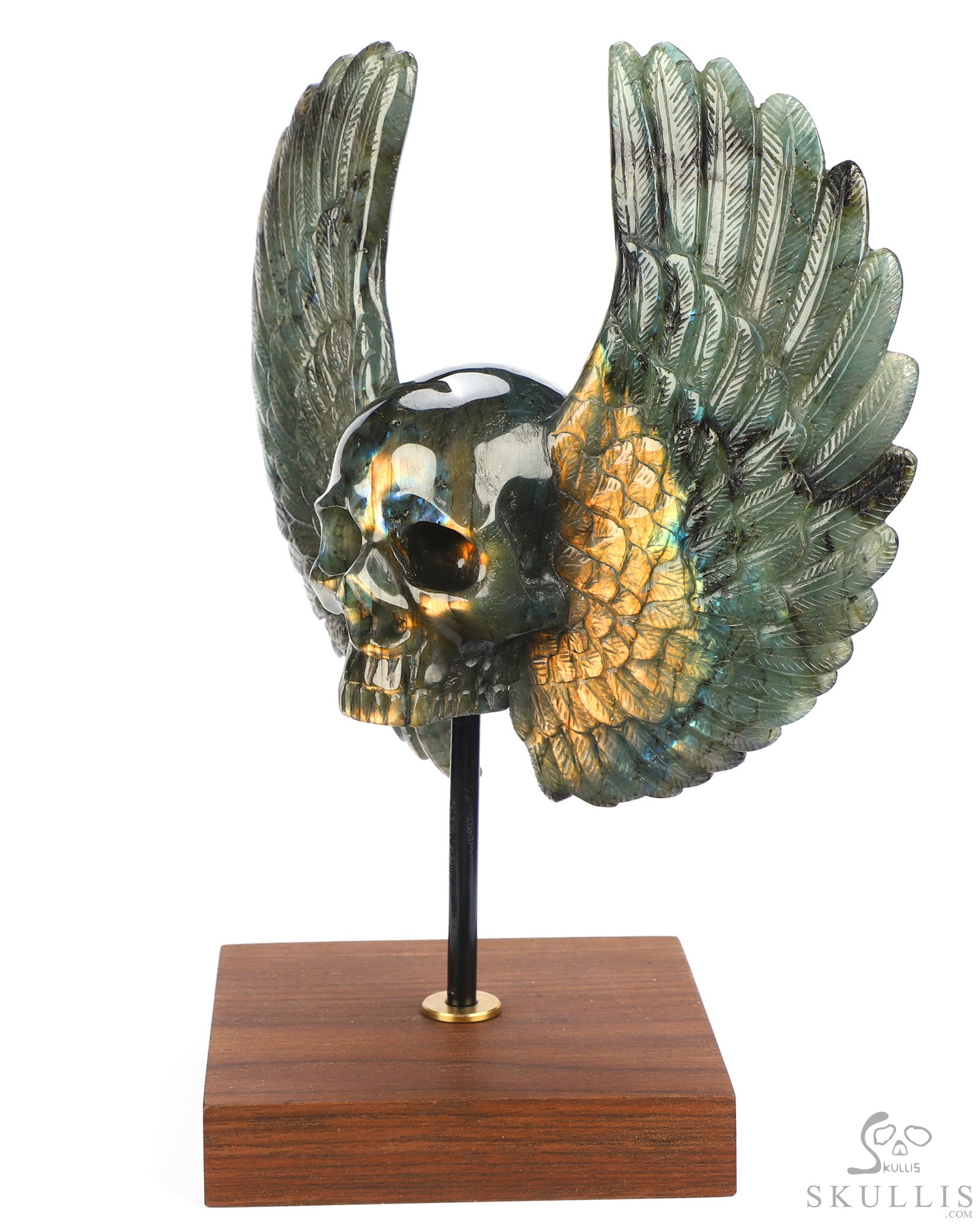 Sept 3, 2026 ACSAD (A Crystal Skull a Day) - Wings of Azrael - 6.6" Labradorite Hand Carved Wings Crystal Skull Sculpture, Crystal Healing Sept 3, 2026 ACSAD (A Crystal Skull a Day) - Wings of Azrael - 6.6" Labradorite Hand Carved Wings Crystal Skull Sculpture, Crystal Healing