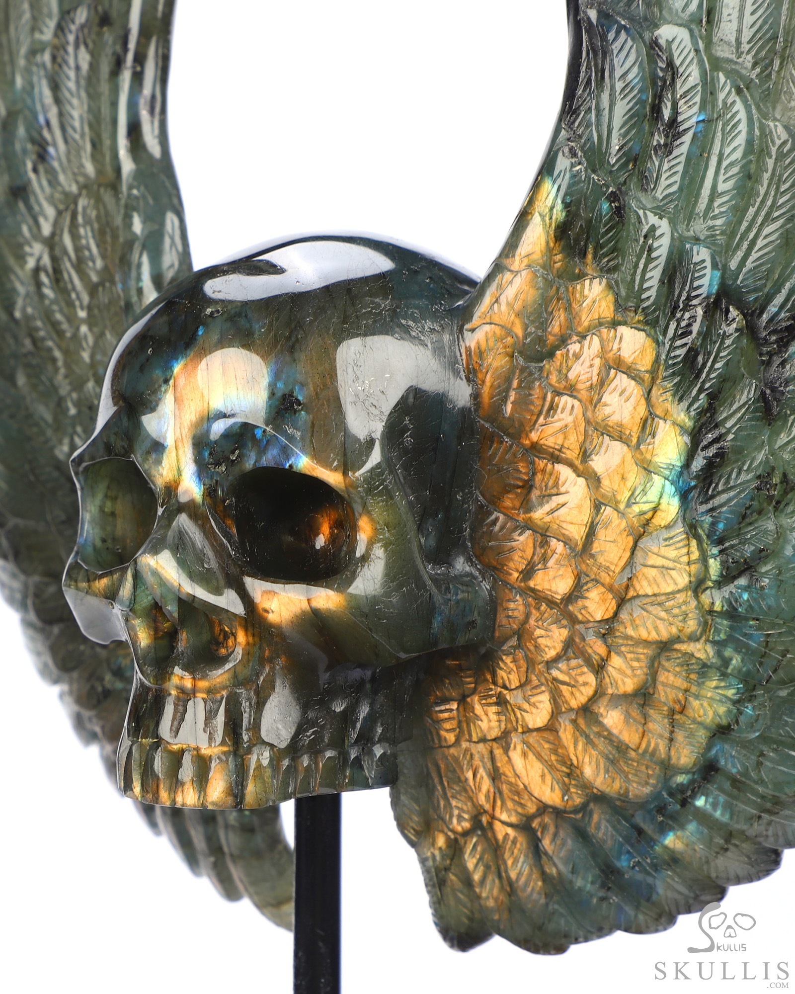 Sept 3, 2026 ACSAD (A Crystal Skull a Day) - Wings of Azrael - 6.6" Labradorite Hand Carved Wings Crystal Skull Sculpture, Crystal Healing Sept 3, 2026 ACSAD (A Crystal Skull a Day) - Wings of Azrael - 6.6" Labradorite Hand Carved Wings Crystal Skull Sculpture, Crystal Healing