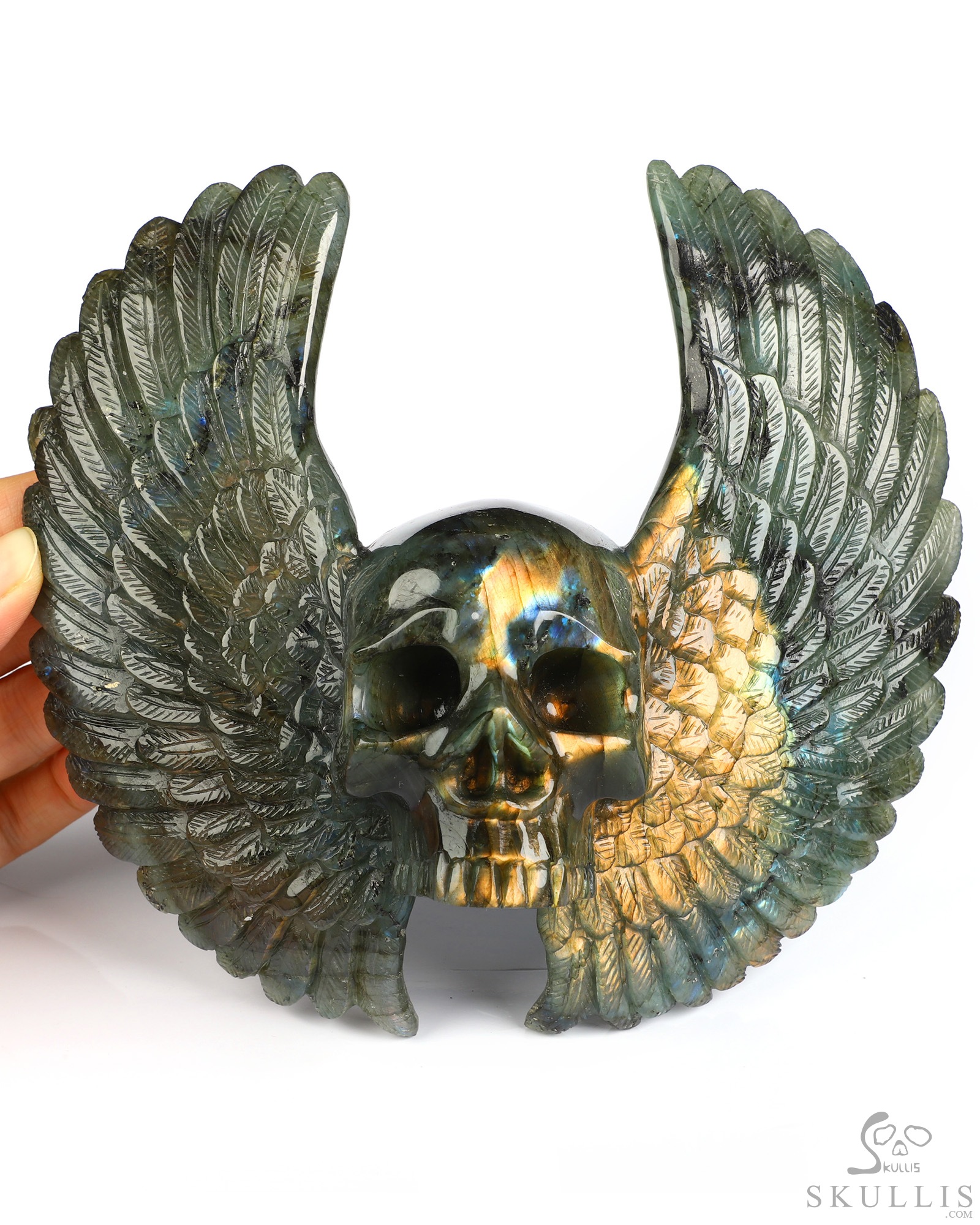 Sept 3, 2026 ACSAD (A Crystal Skull a Day) - Wings of Azrael - 6.6" Labradorite Hand Carved Wings Crystal Skull Sculpture, Crystal Healing Sept 3, 2026 ACSAD (A Crystal Skull a Day) - Wings of Azrael - 6.6" Labradorite Hand Carved Wings Crystal Skull Sculpture, Crystal Healing