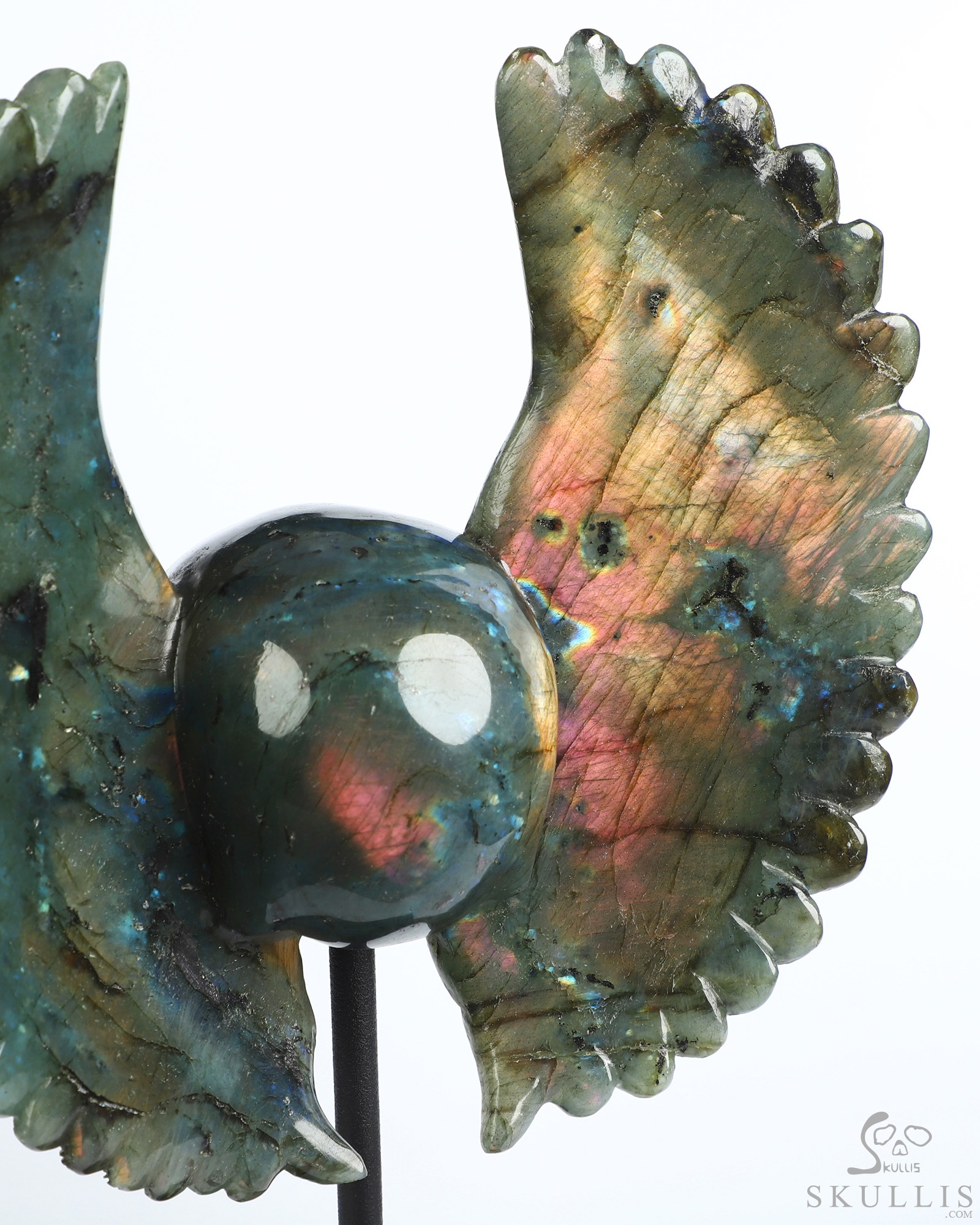 Sept 3, 2026 ACSAD (A Crystal Skull a Day) - Wings of Azrael - 6.6" Labradorite Hand Carved Wings Crystal Skull Sculpture, Crystal Healing Sept 3, 2026 ACSAD (A Crystal Skull a Day) - Wings of Azrael - 6.6" Labradorite Hand Carved Wings Crystal Skull Sculpture, Crystal Healing